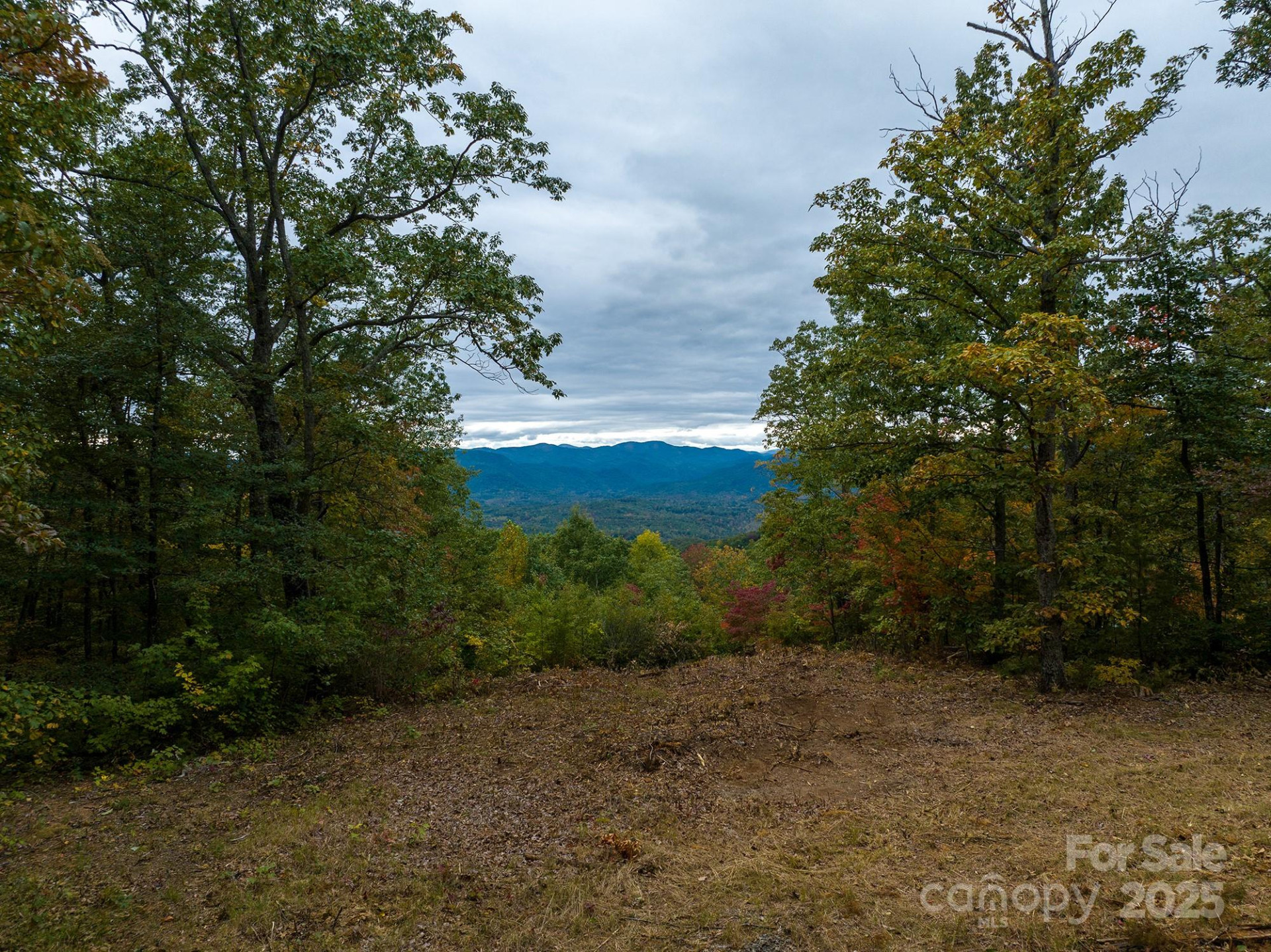 0 Tranquility Trail #41 - Photo 8