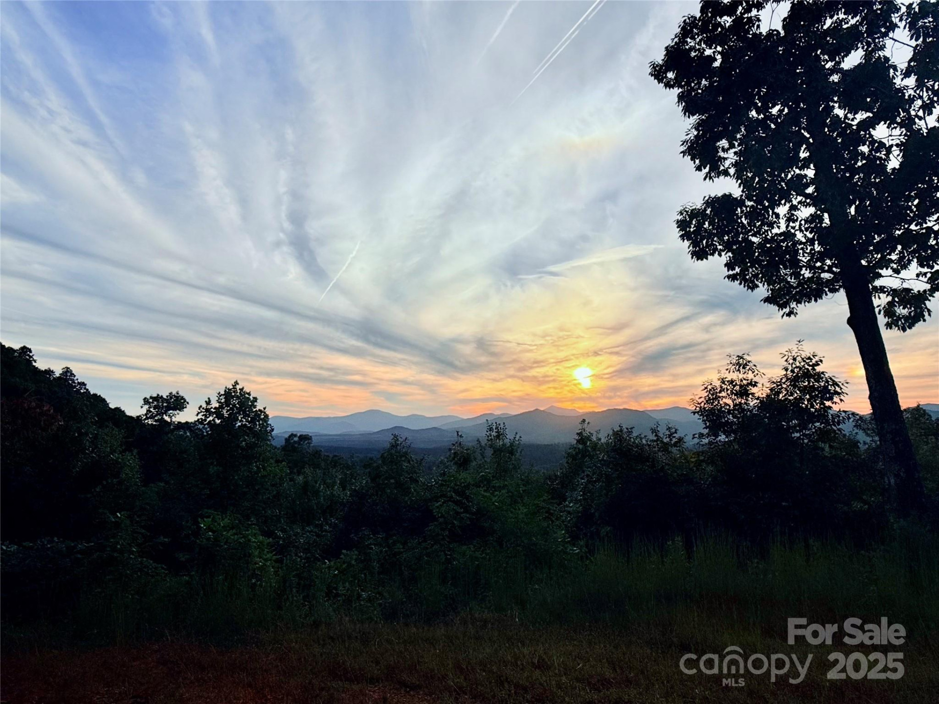 0 The Falls Road #1 - Photo 2