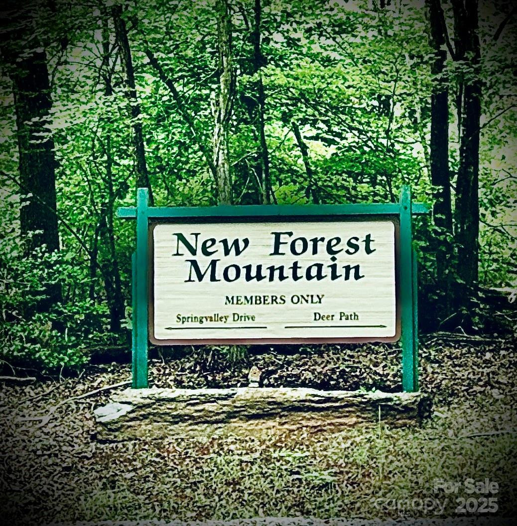 20.32 Acres Tranquility Trail - Photo 4