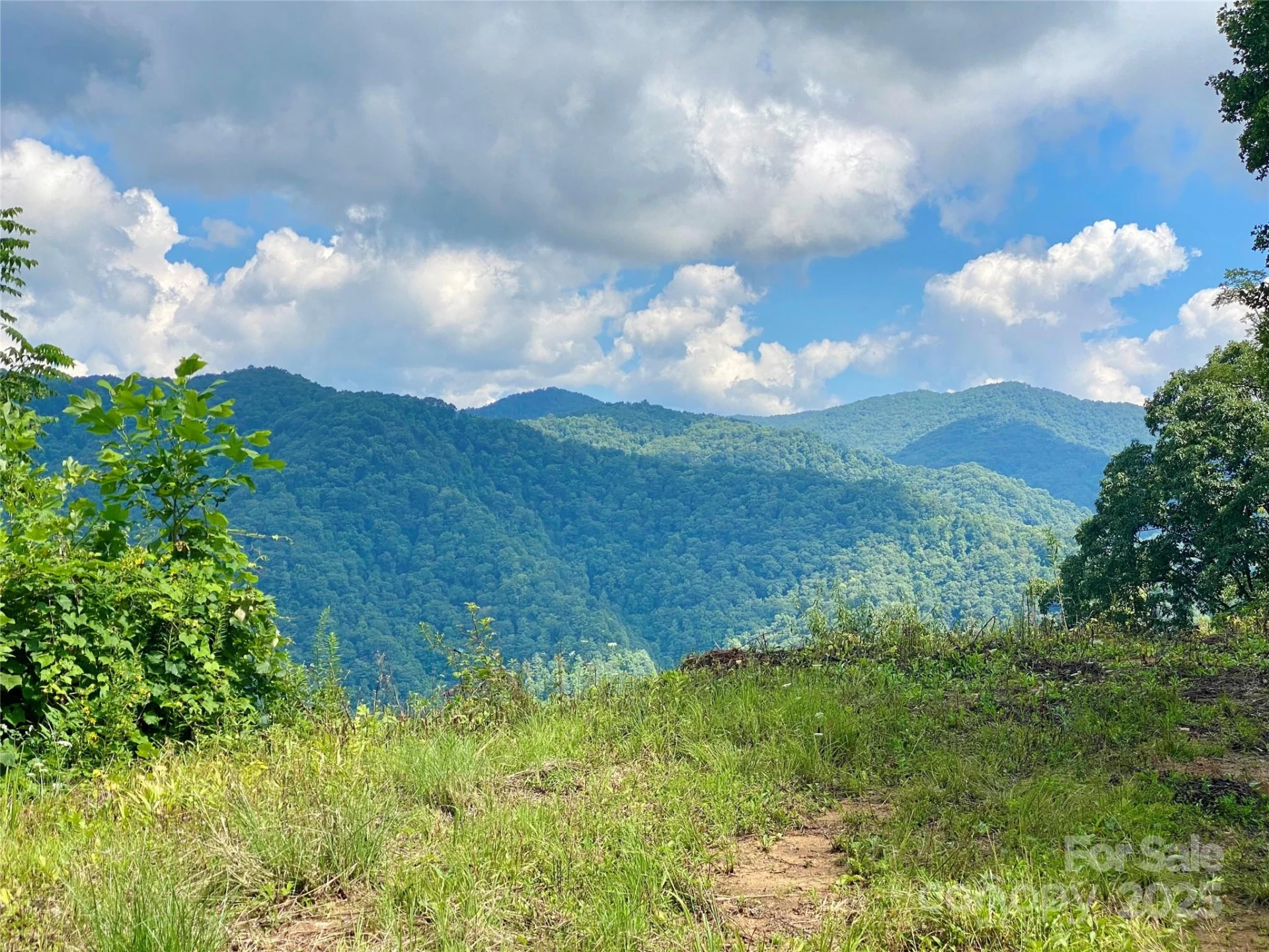 7858 Big Laurel Road