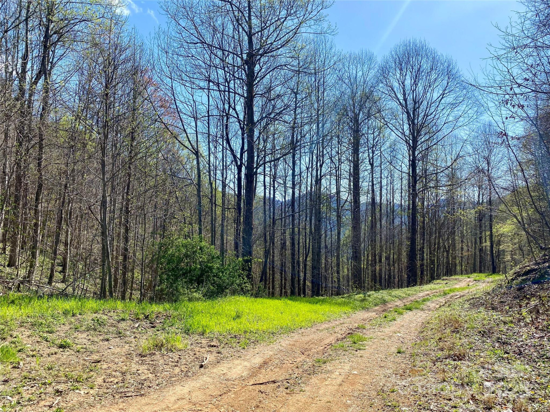 7858 Big Laurel Road - Photo 2