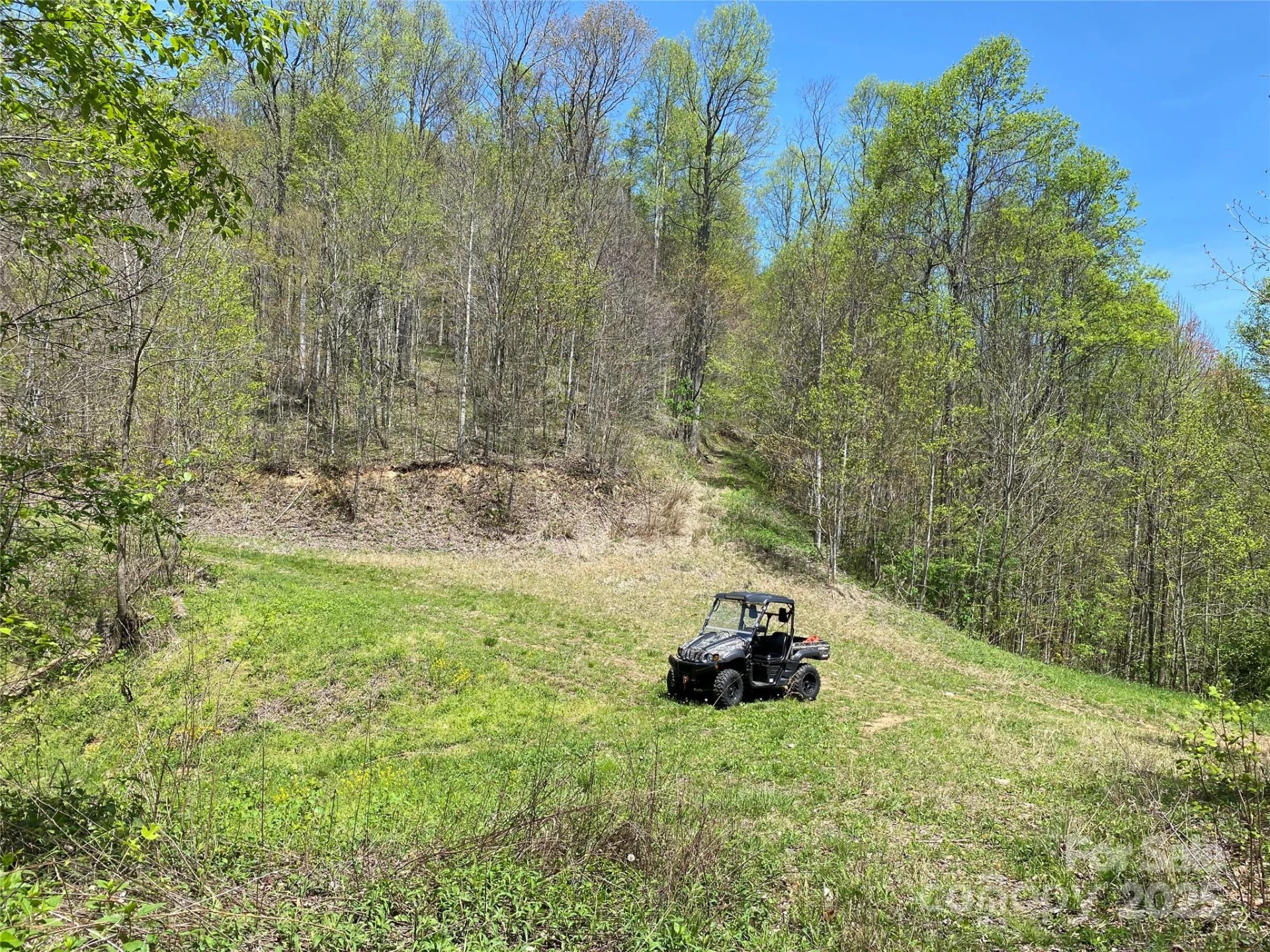 7858 Big Laurel Road - Photo 14