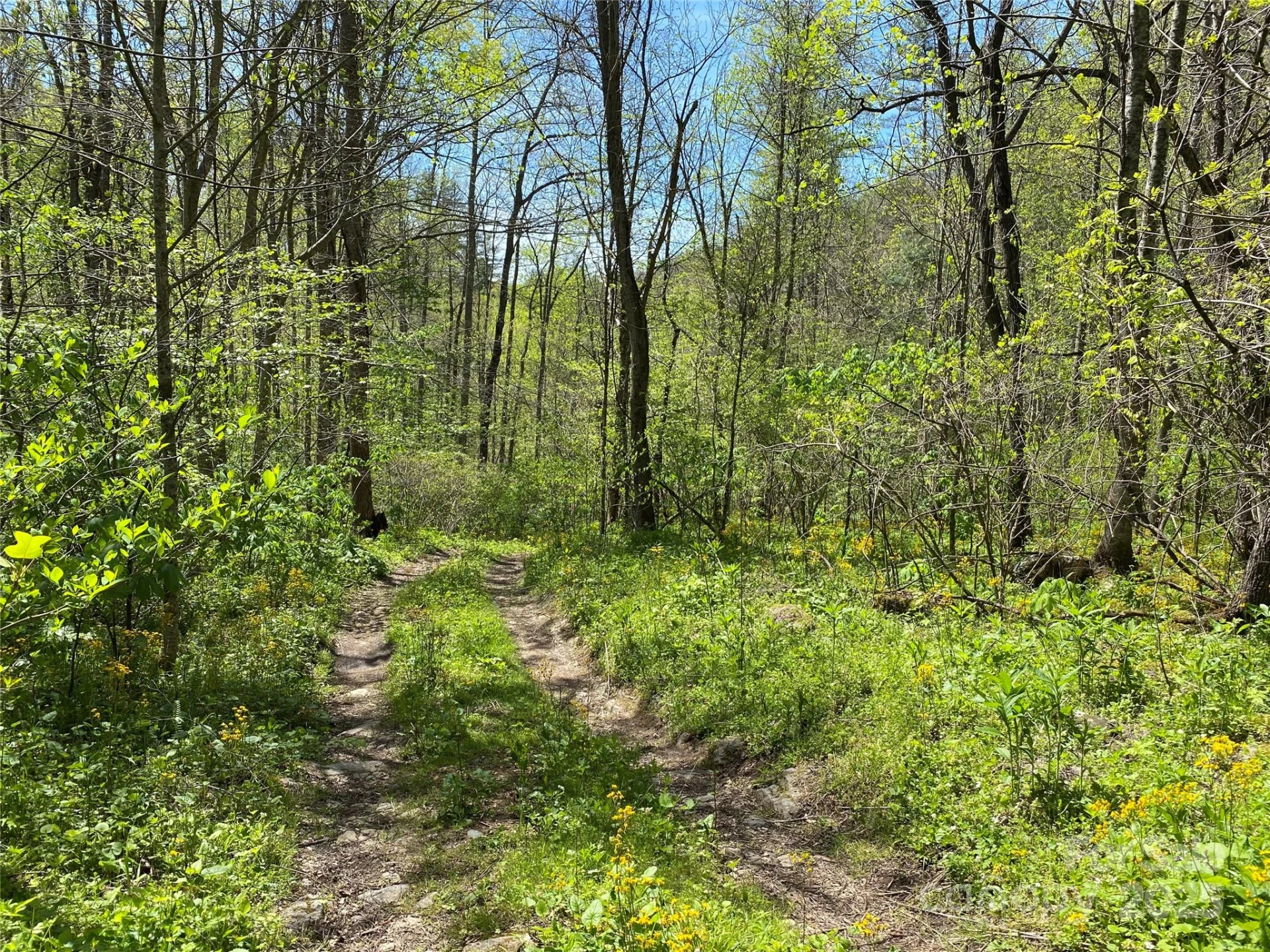 7858 Big Laurel Road - Photo 15