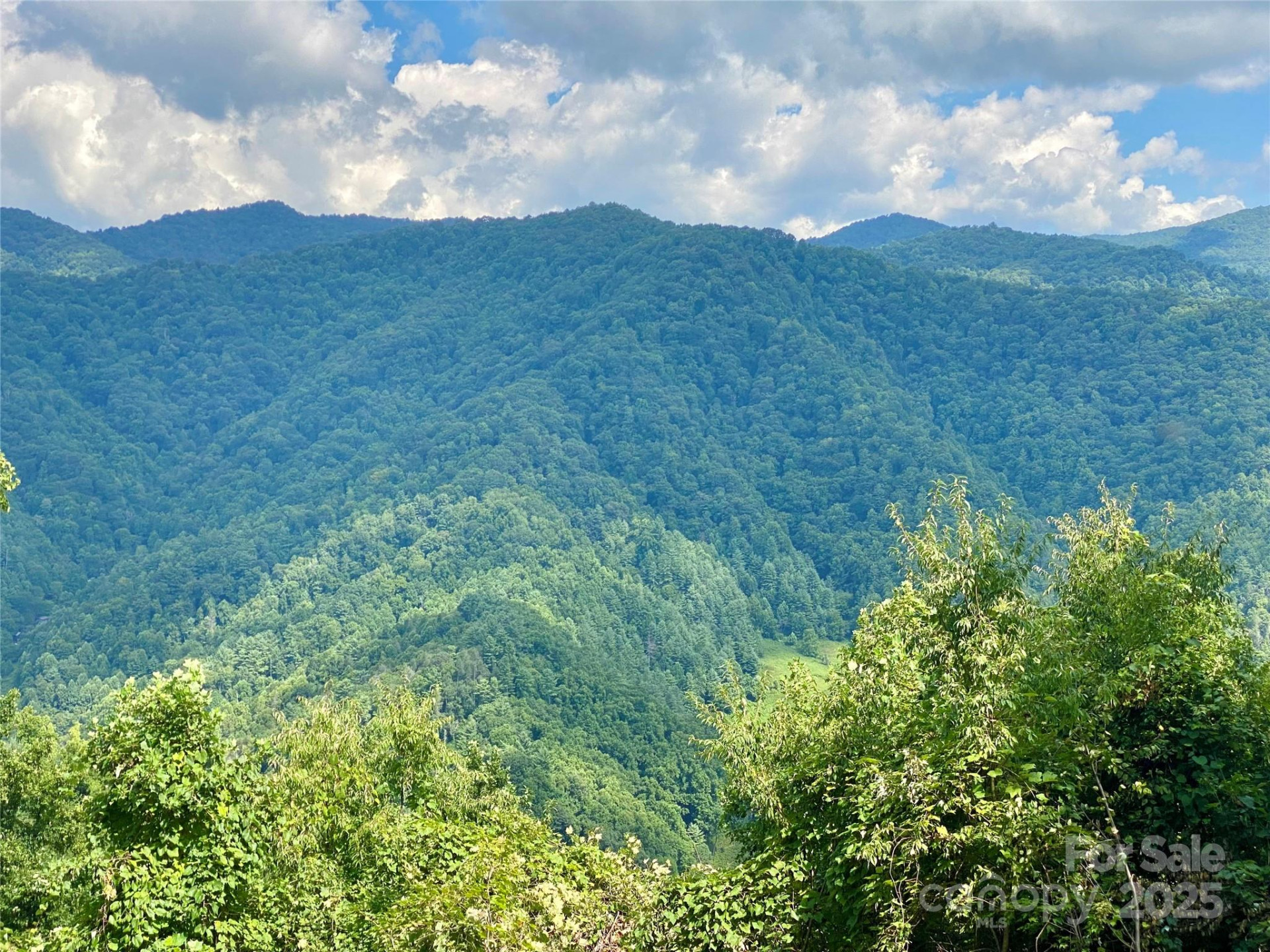 7858 Big Laurel Road - Photo 18