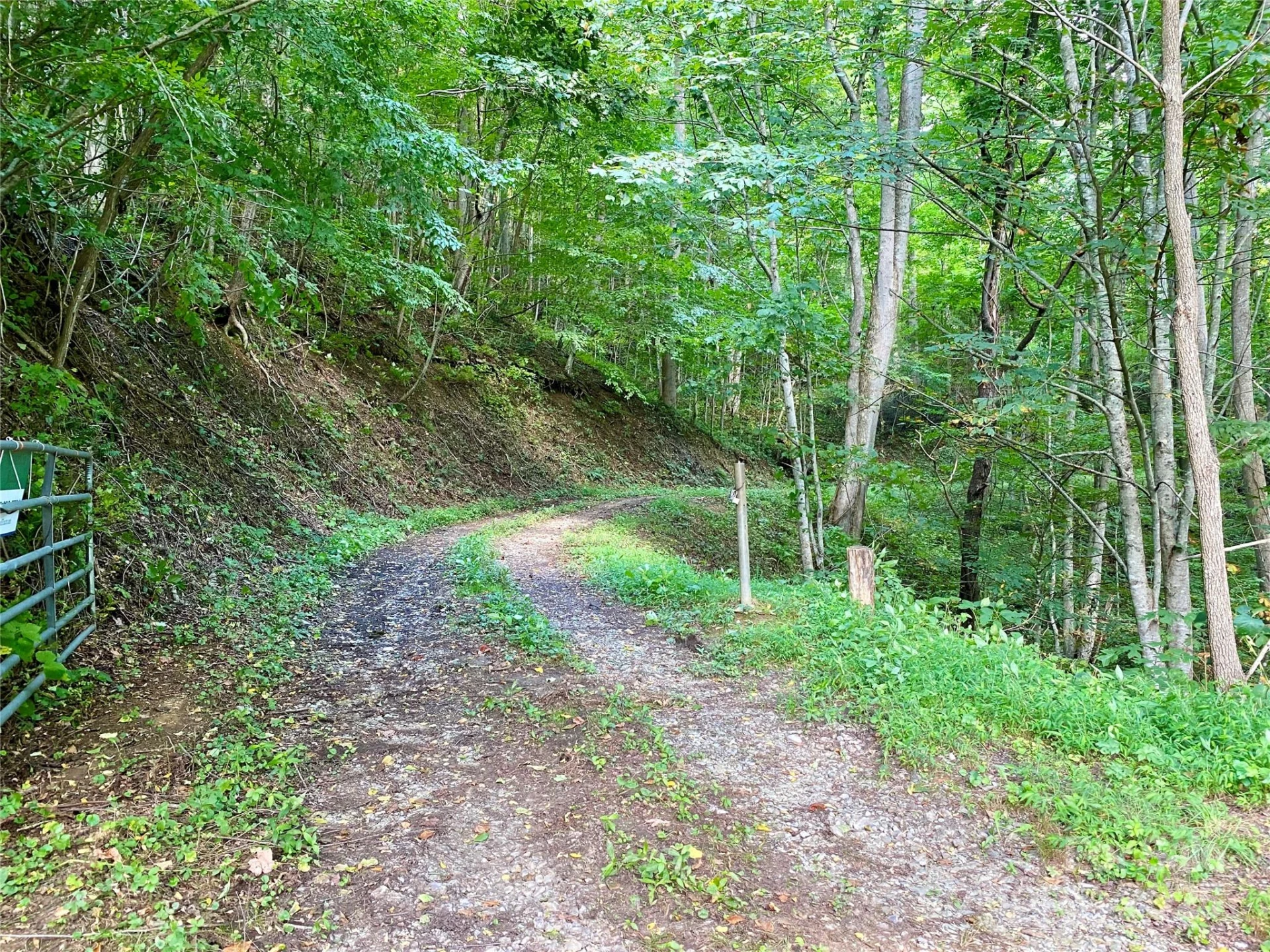 7858 Big Laurel Road - Photo 19