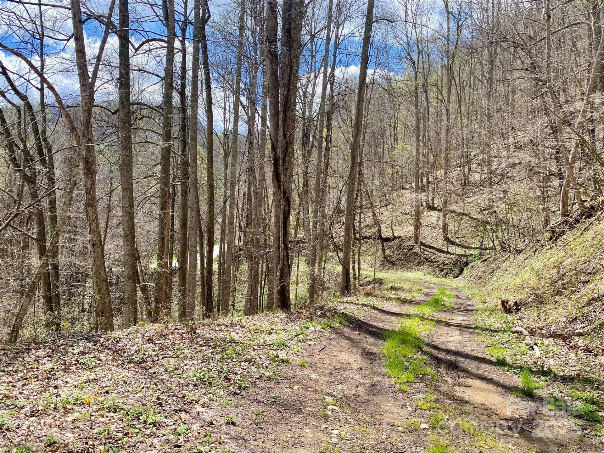 7858 Big Laurel Road - Photo 4