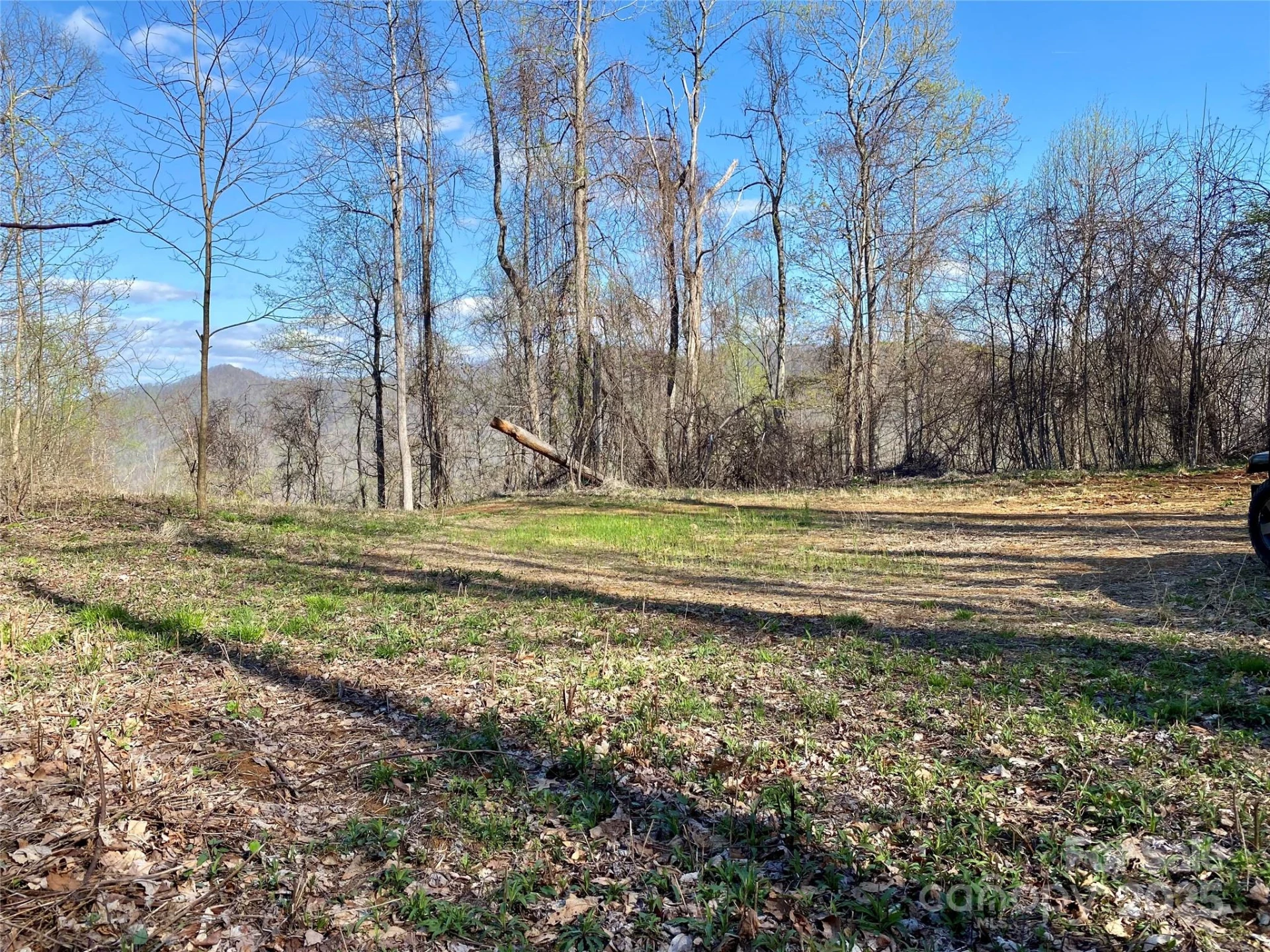 7858 Big Laurel Road - Photo 6