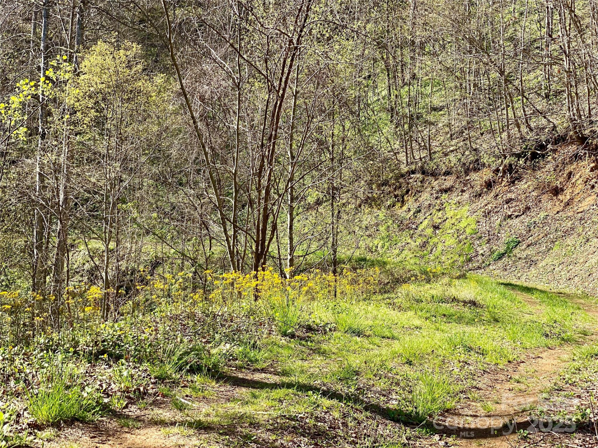7858 Big Laurel Road - Photo 7