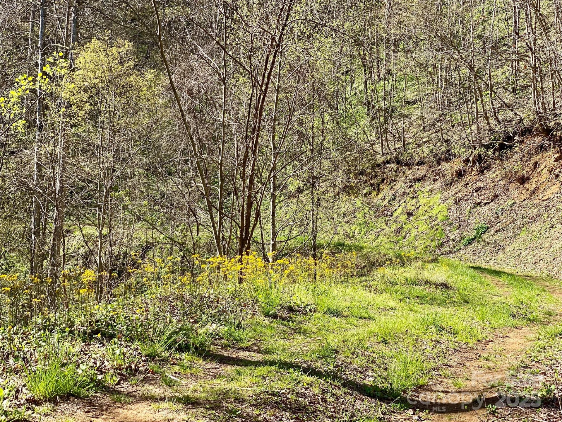7858 Big Laurel Road - Photo 7
