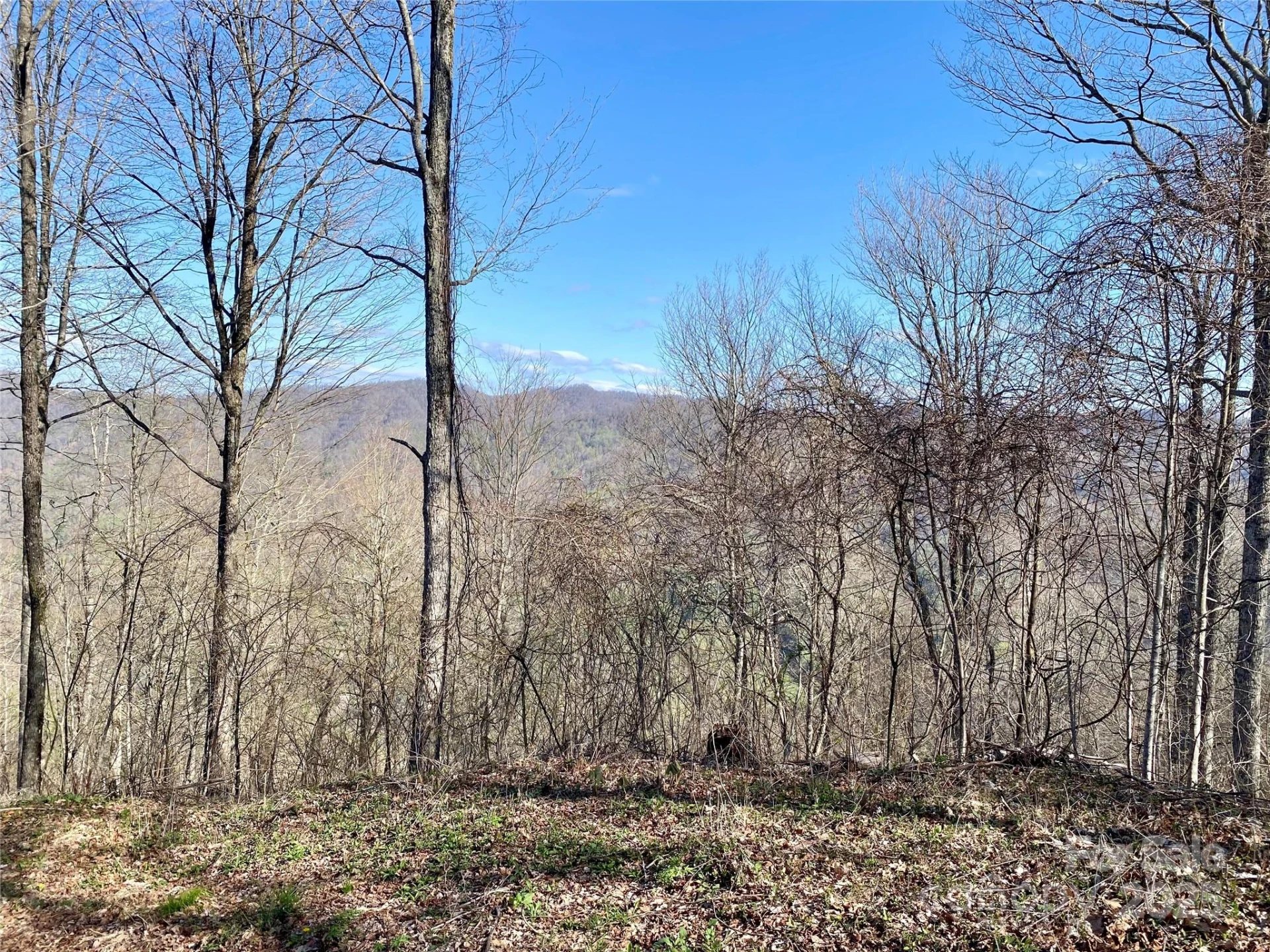 7858 Big Laurel Road - Photo 9