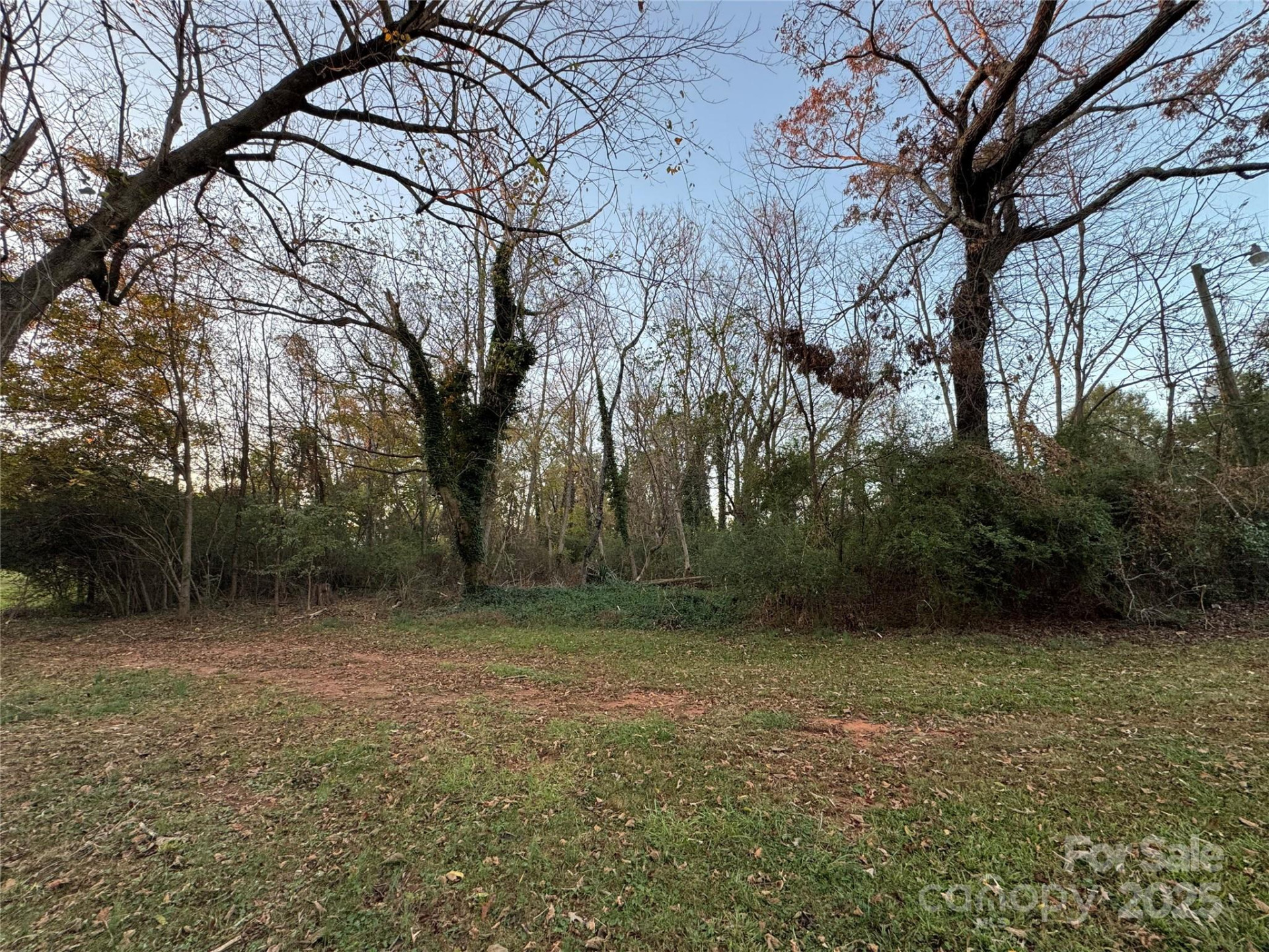 144 St Helena Drive - Photo 11