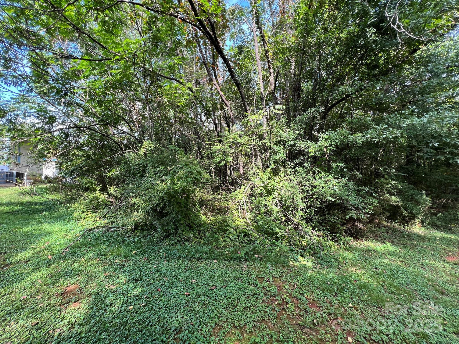 144 St Helena Drive - Photo 3