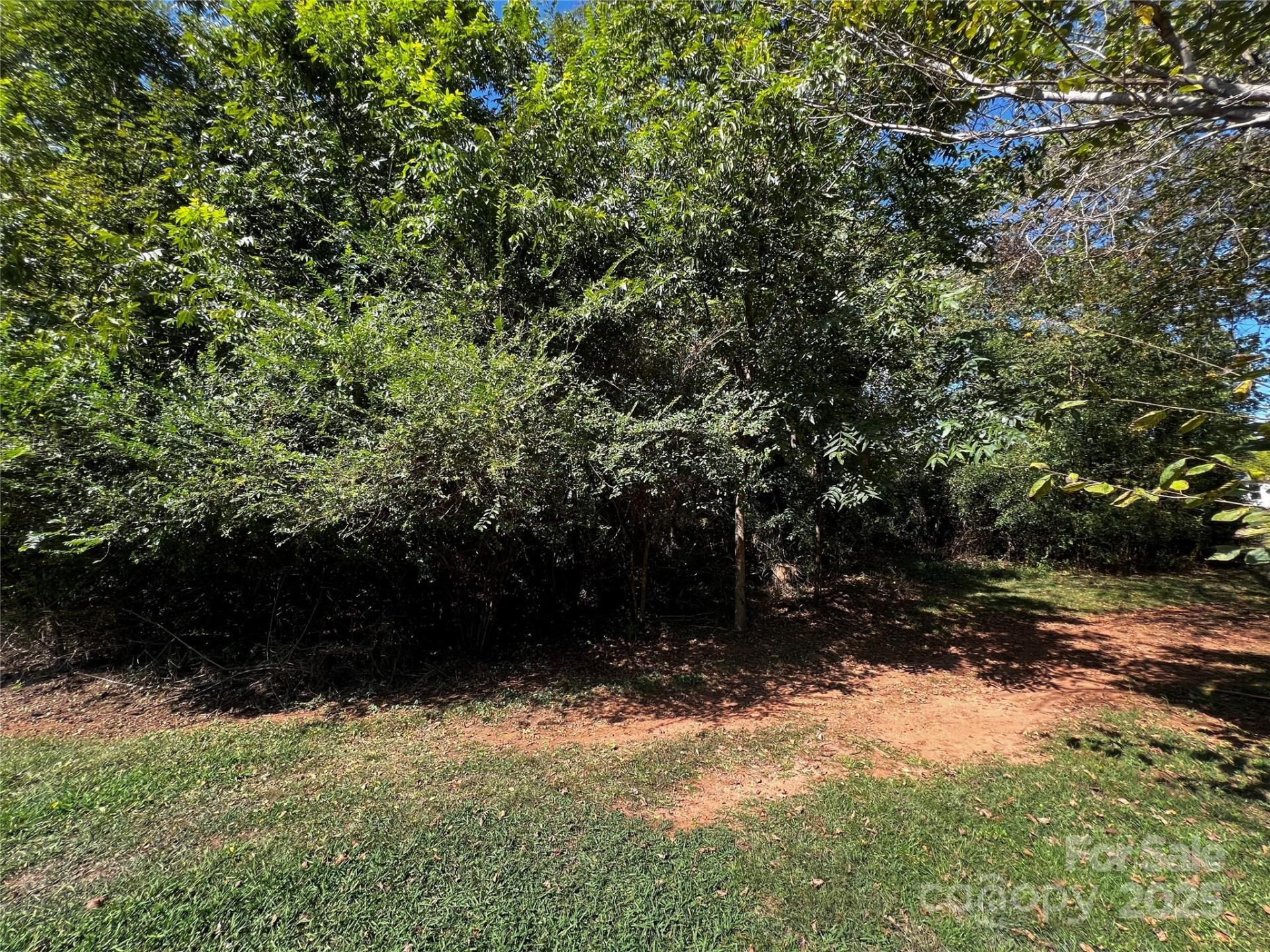 144 St Helena Drive - Photo 4