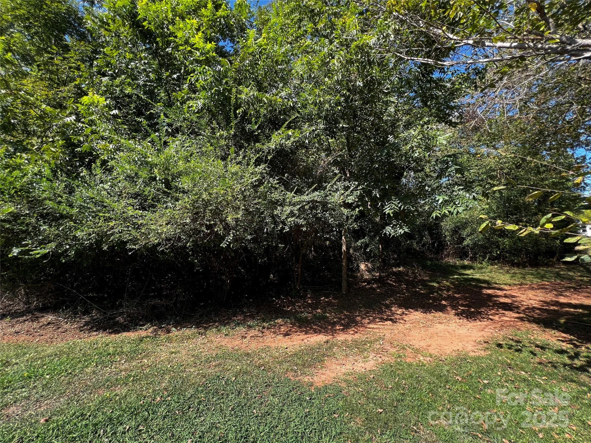 144 St Helena Drive - Photo 4