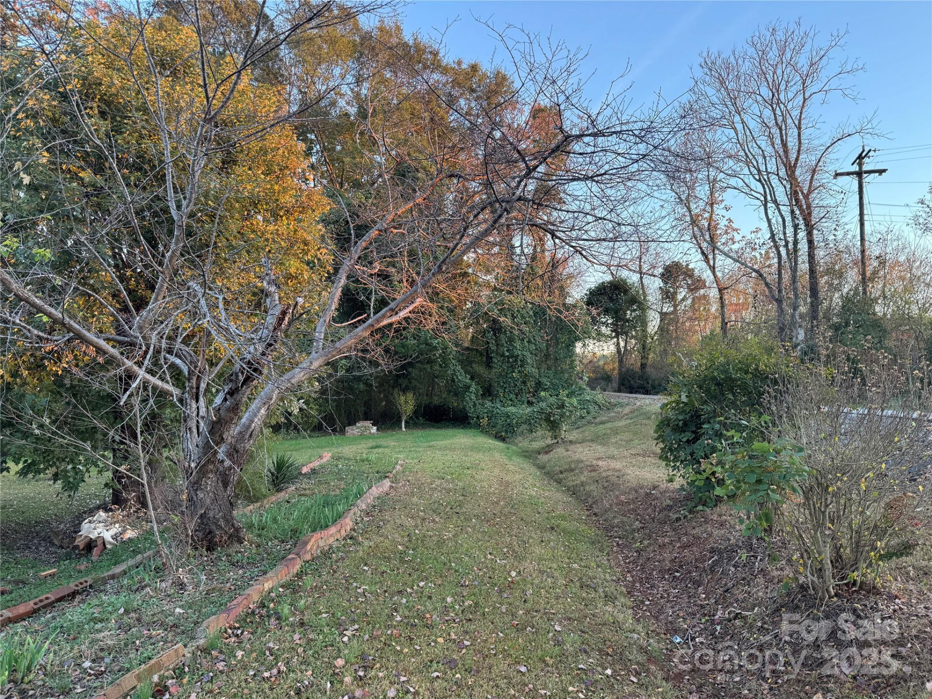 144 St Helena Drive - Photo 6