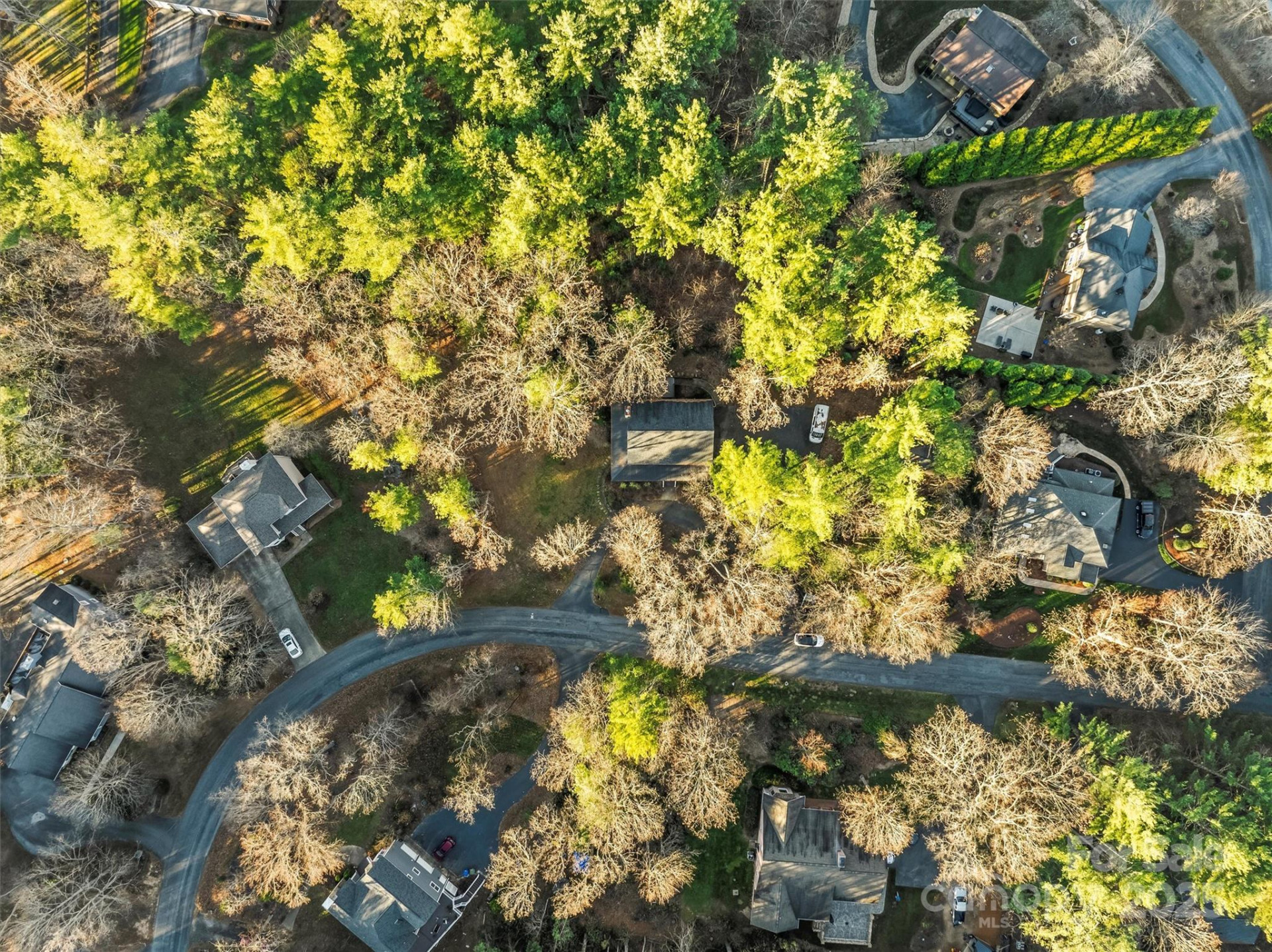 9 Meadow Wood Trail - Photo 40