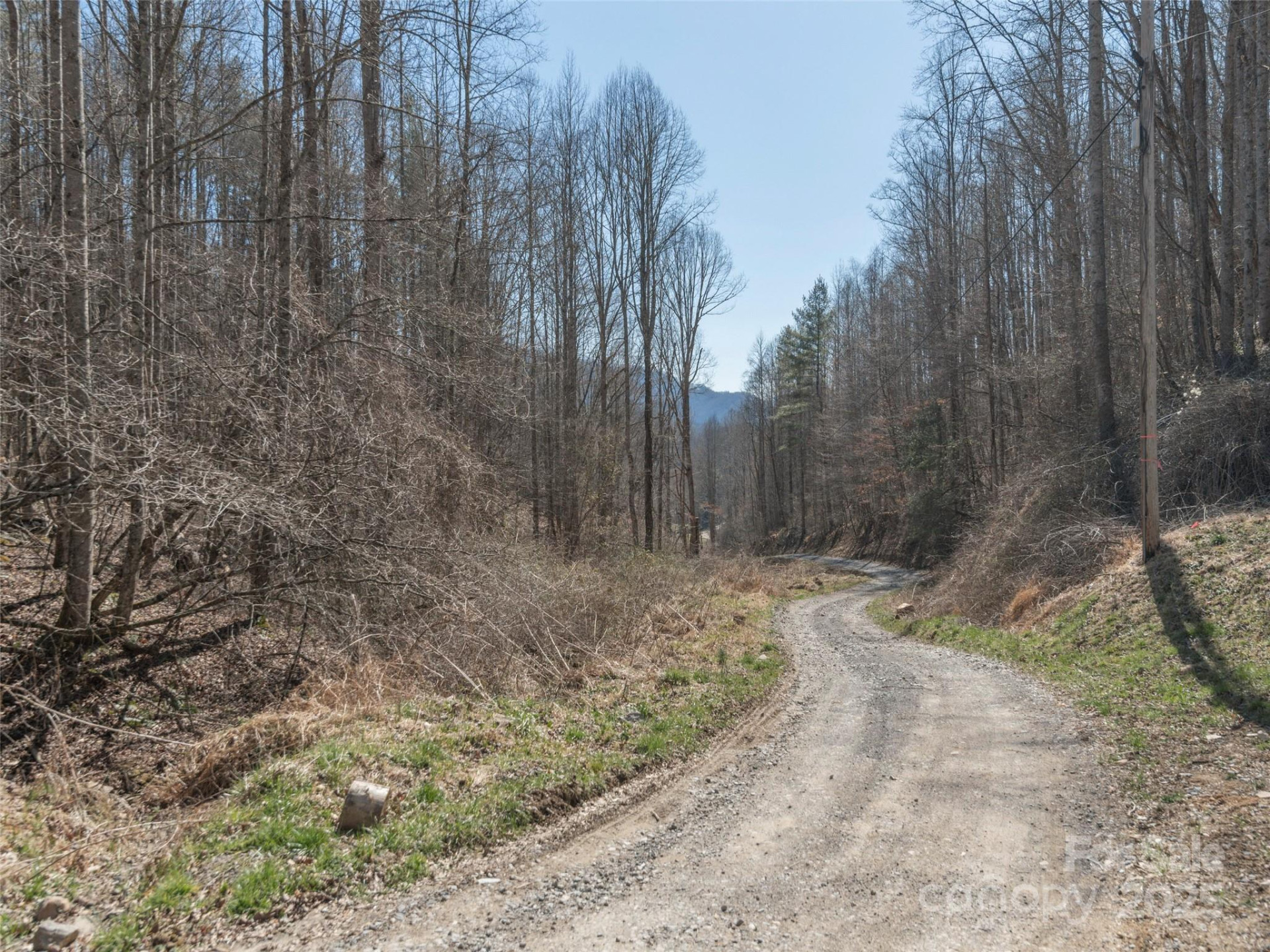 99999 Gibson Branch Road - Photo 6