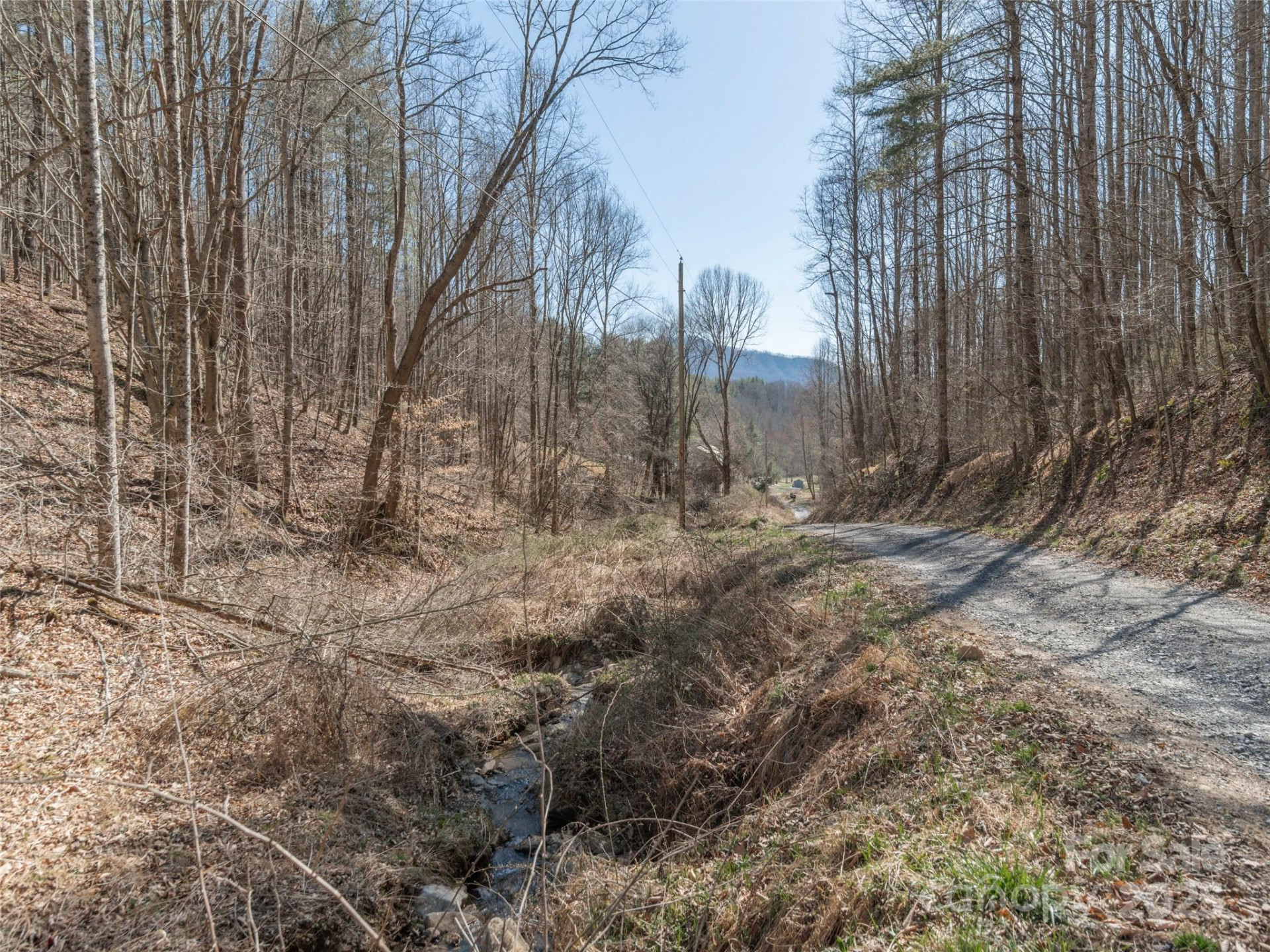 99999 Gibson Branch Road - Photo 9