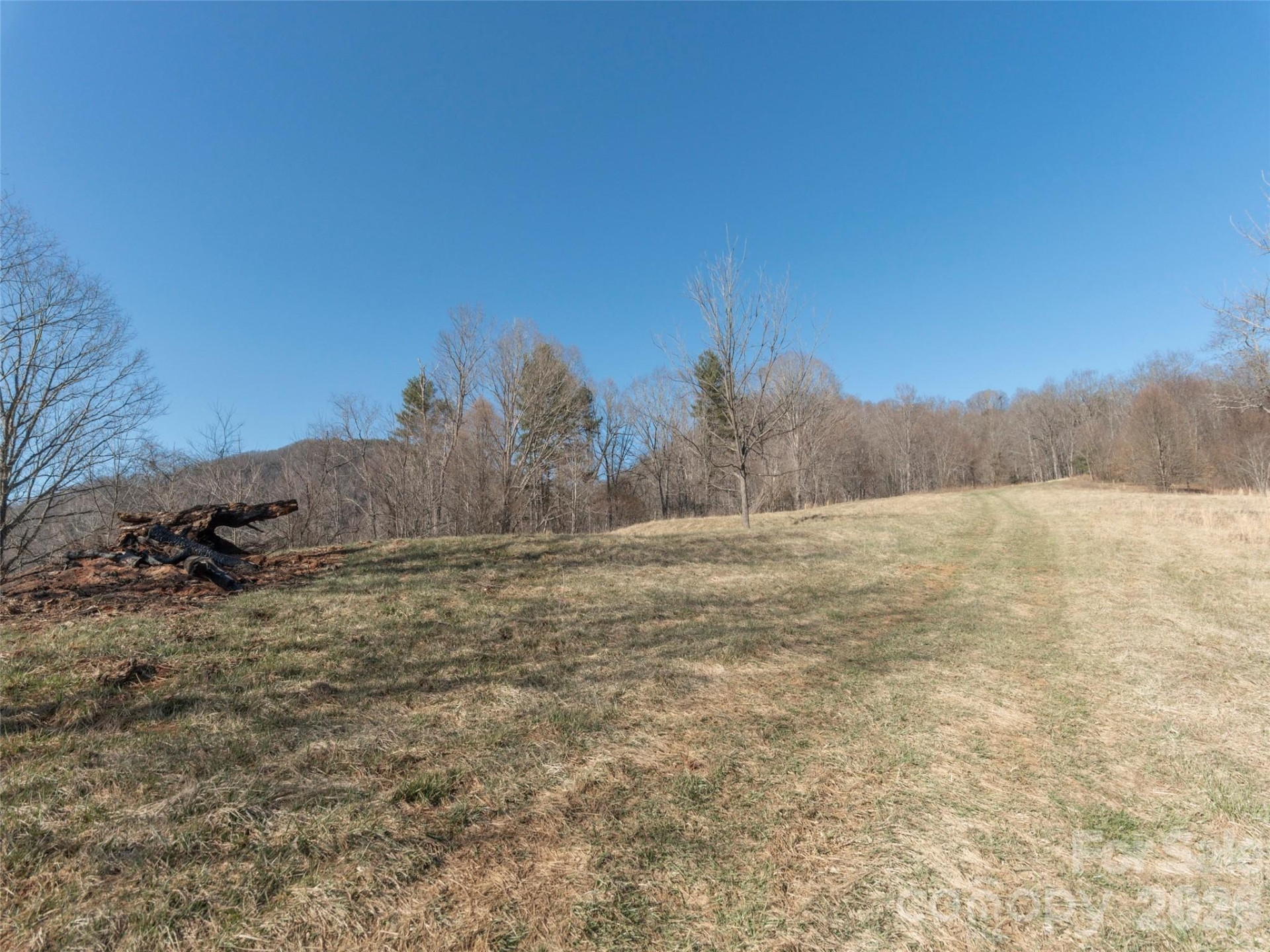 74 Buckeye Cove Road - Photo 3