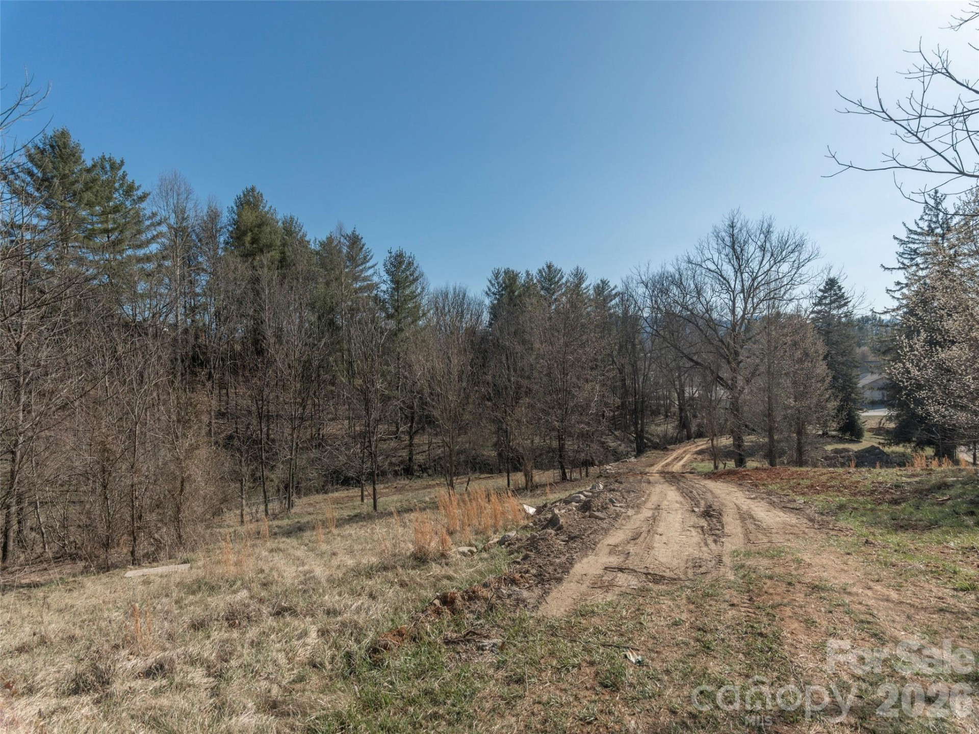 74 Buckeye Cove Road - Photo 5