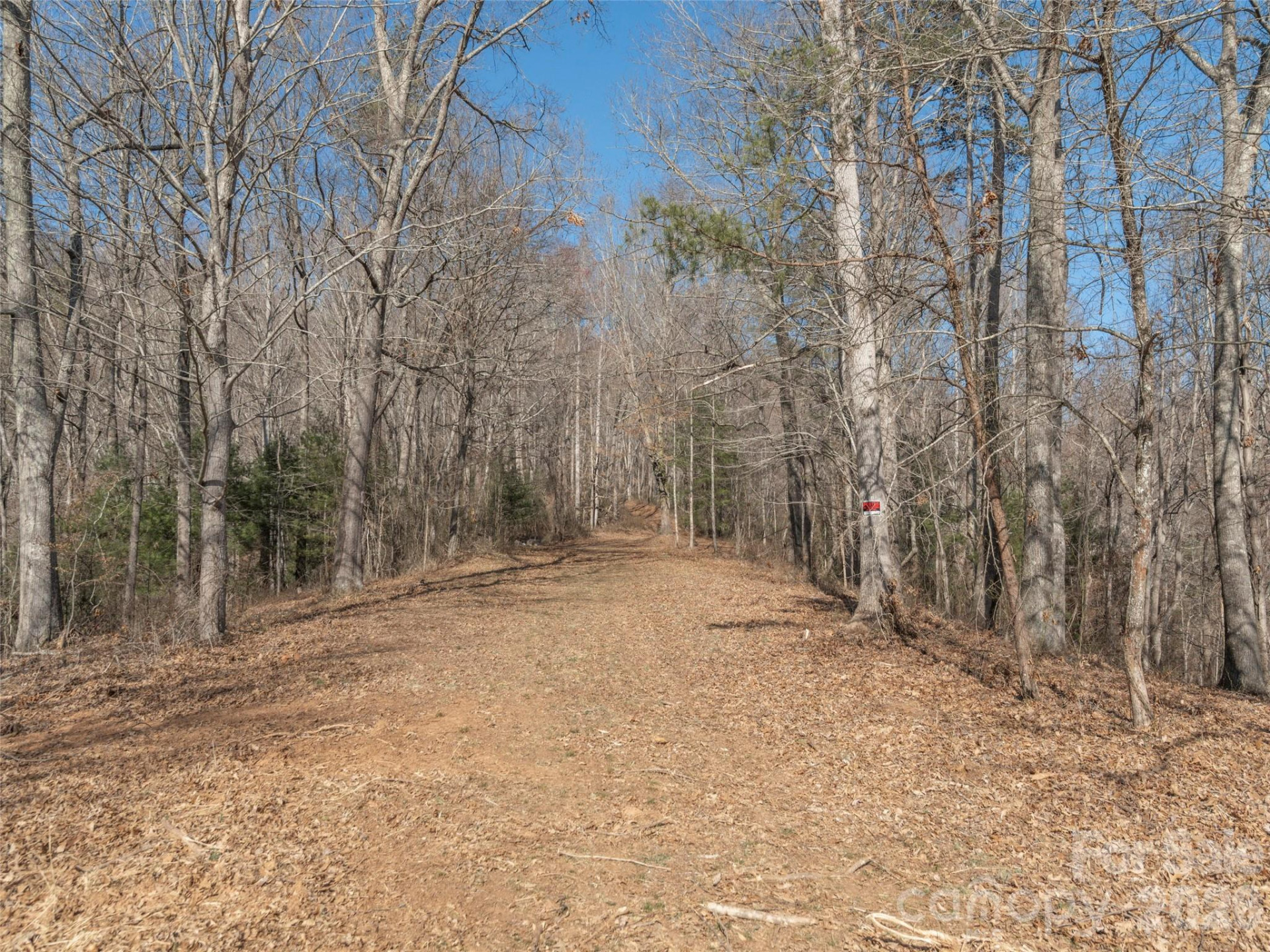 74 Buckeye Cove Road - Photo 6