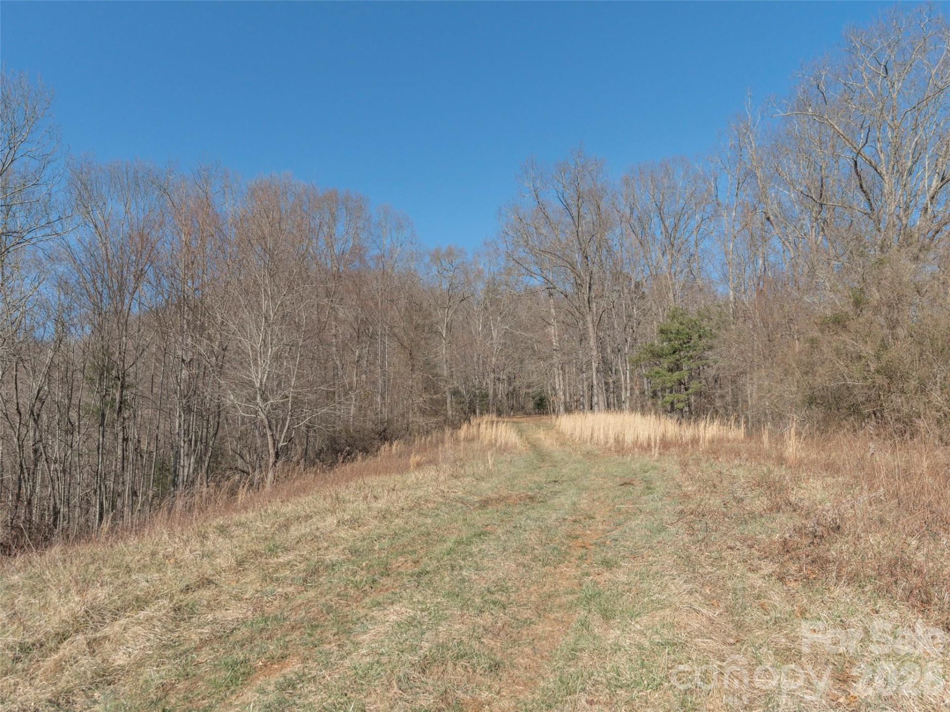 74 Buckeye Cove Road - Photo 8