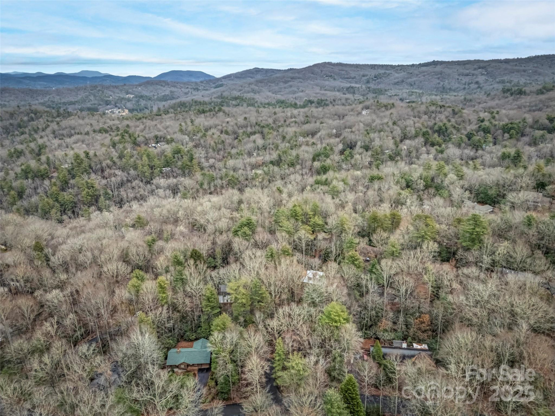 531 Three Mile Knob Road - Photo 30