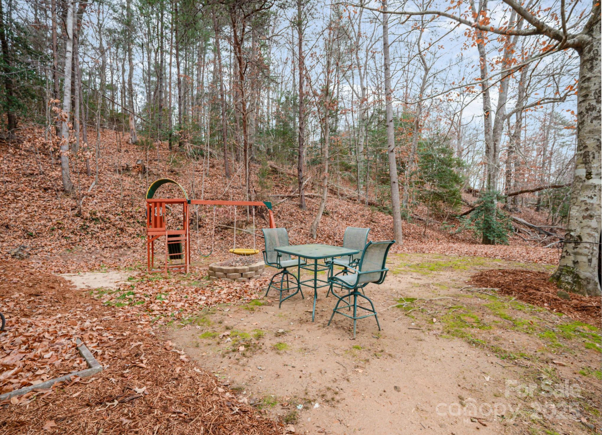 5460 US 64 Highway - Photo 25