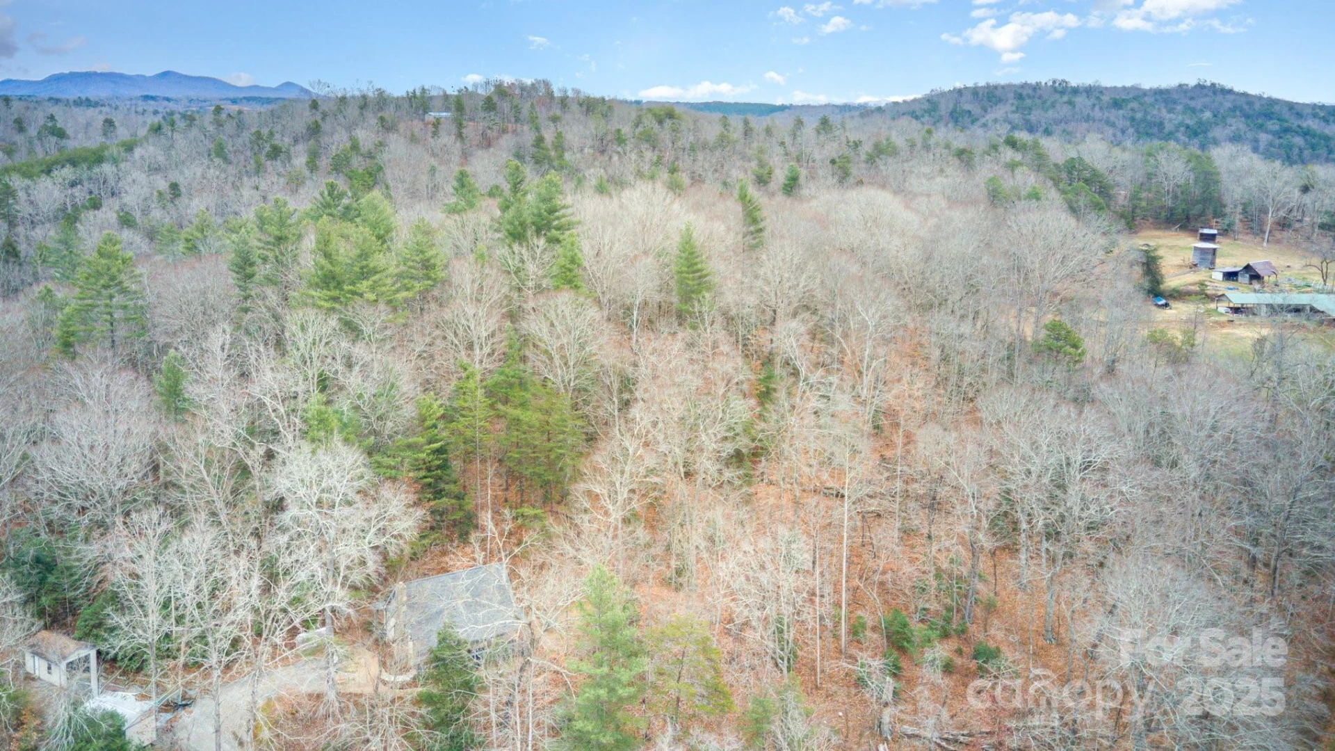 5460 US 64 Highway - Photo 27