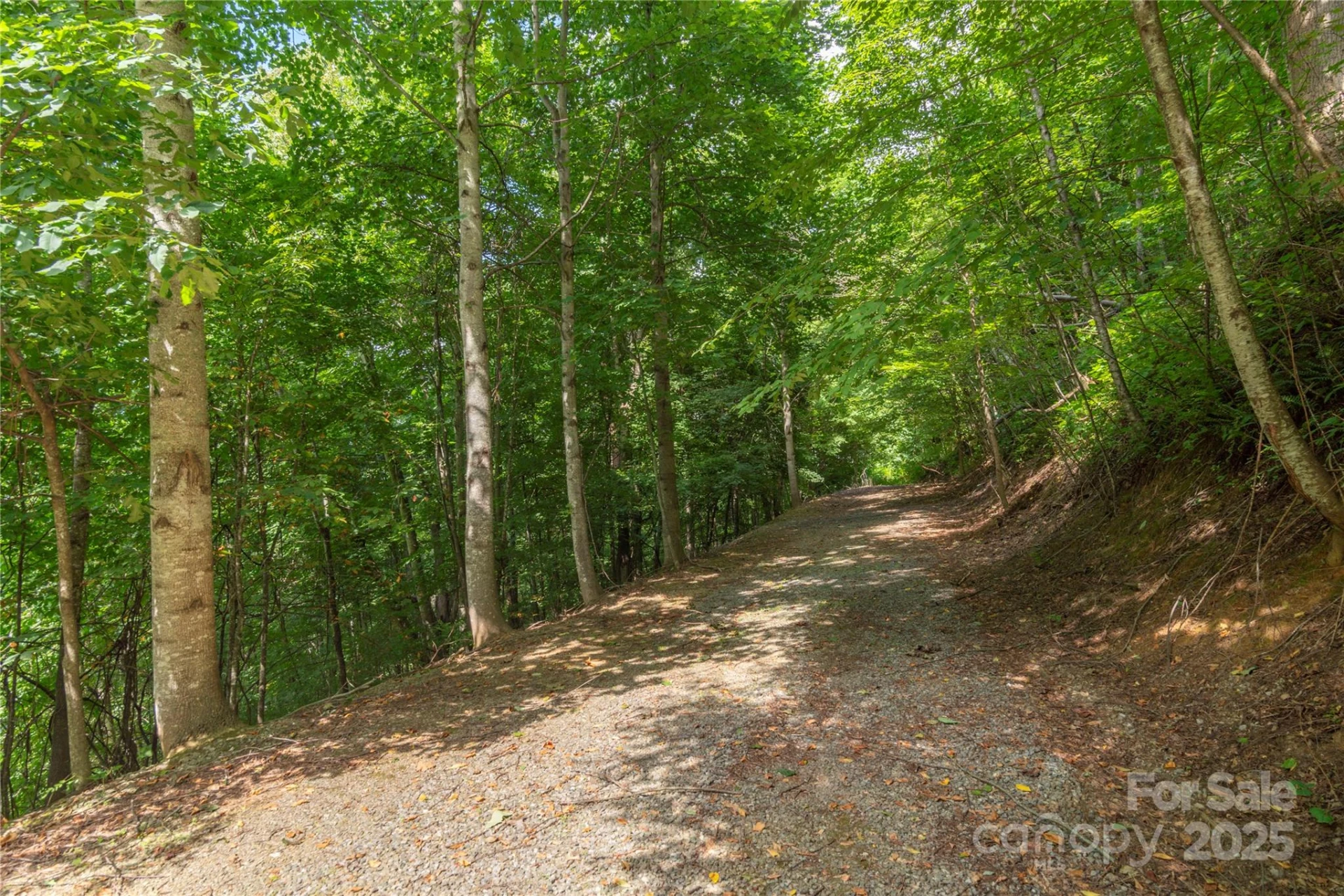 00 Pitch Fork Cove #525 - Photo 5