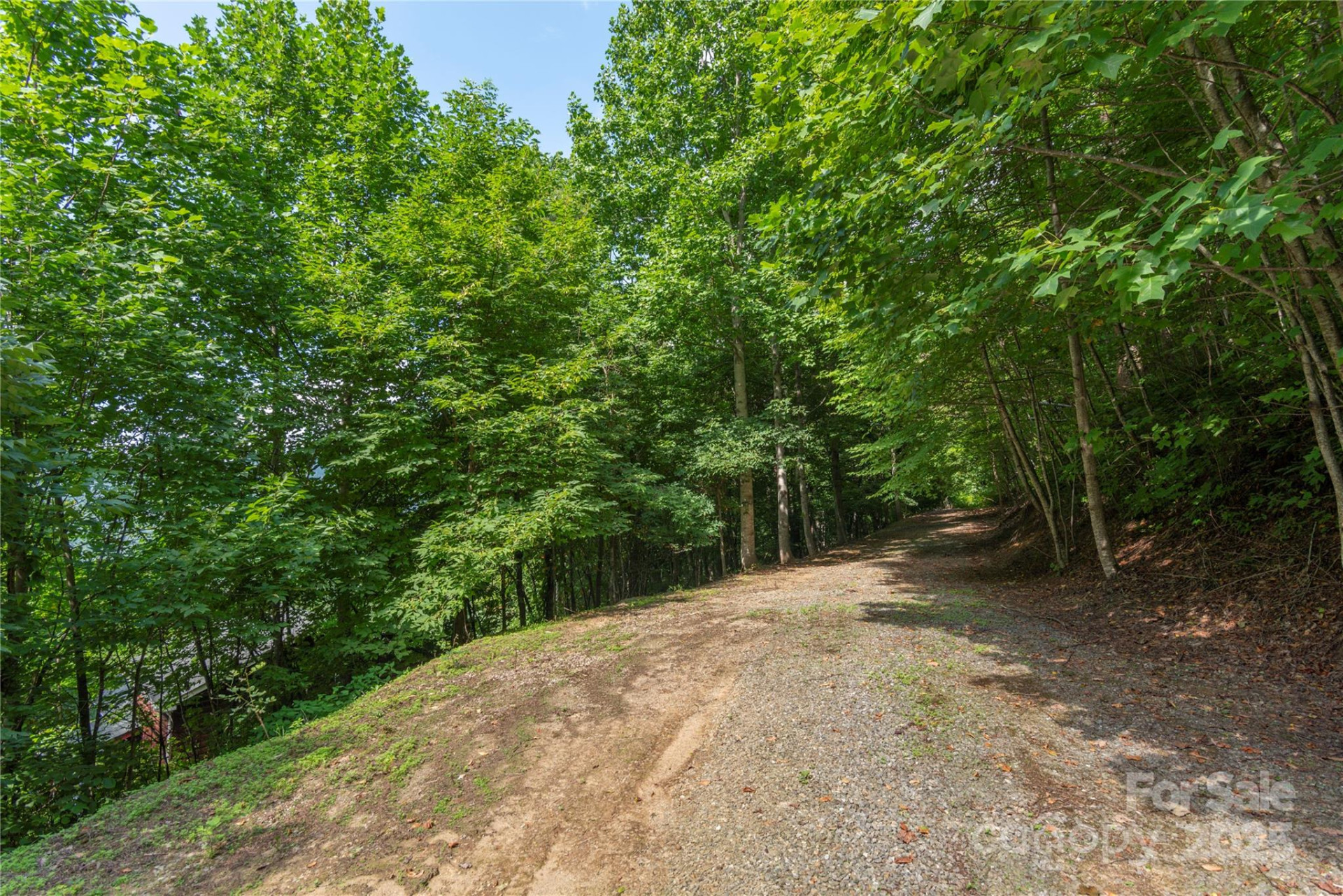 00 Pitch Fork Cove #525 - Photo 6