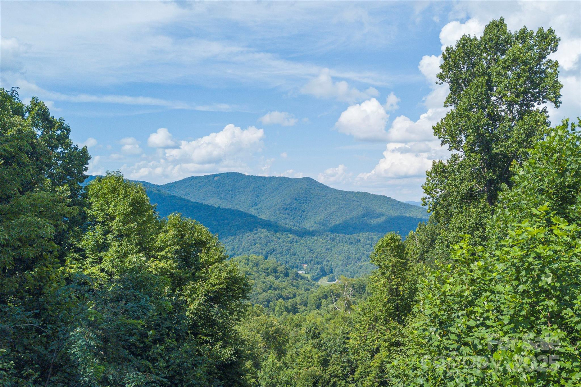 00 Pitch Fork Cove #525 - Photo 8