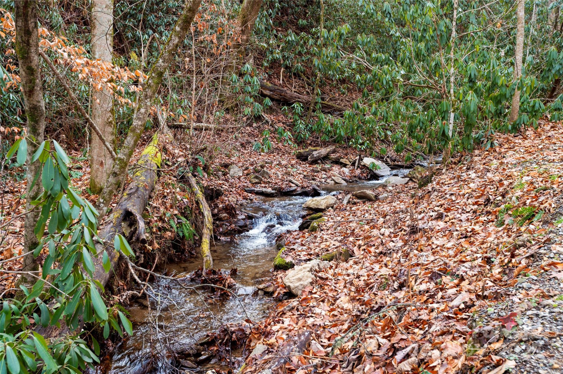 137 Echo Ridge - Photo 9