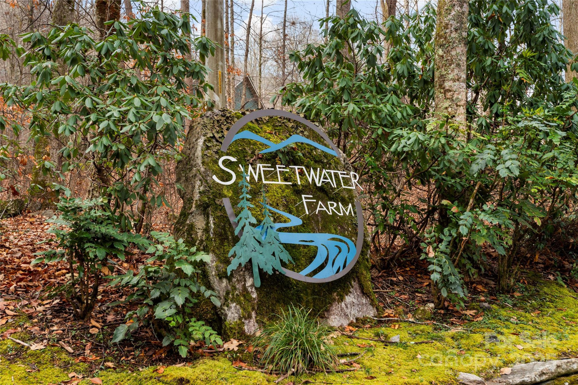 137 Echo Ridge - Photo 10