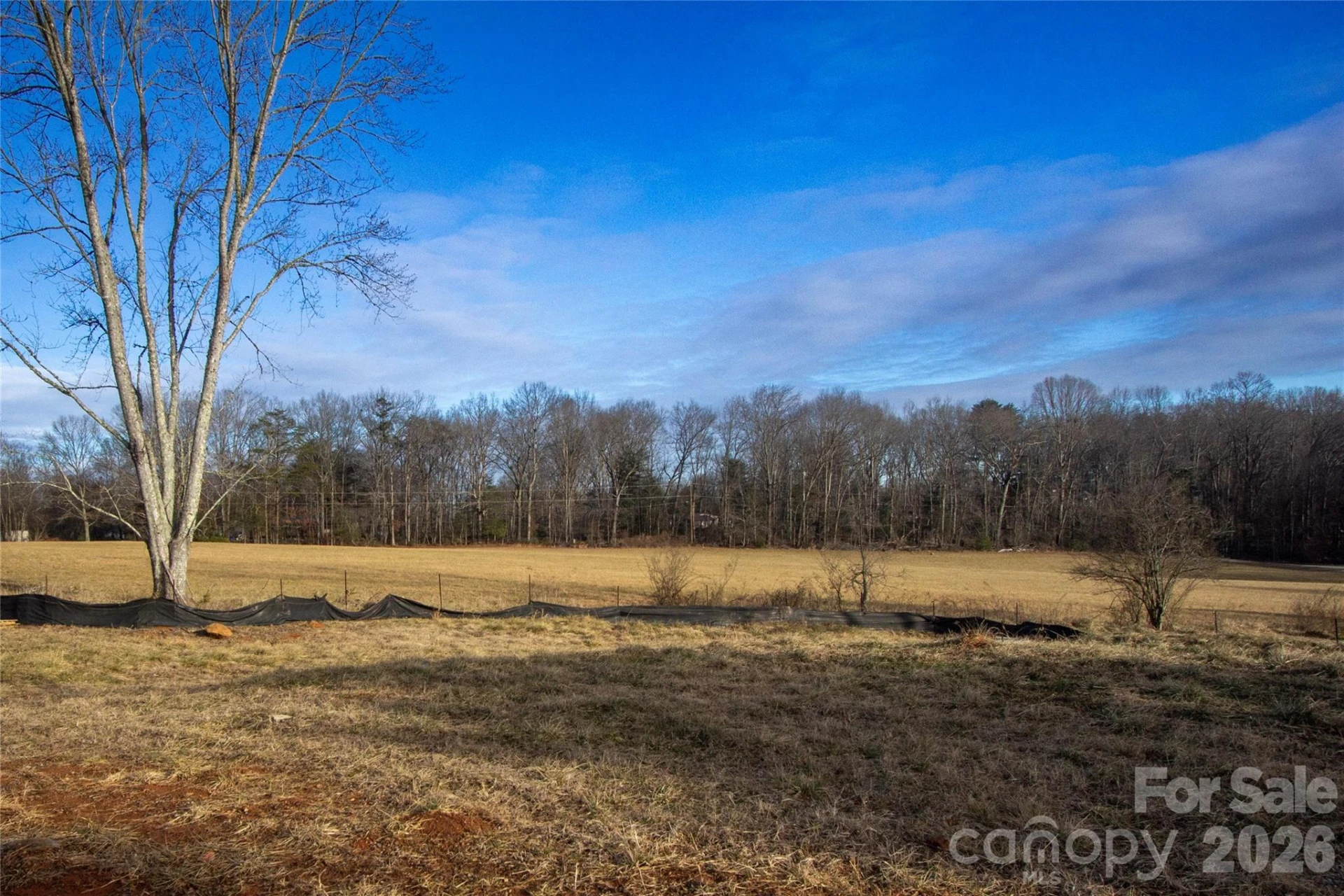 205 Southern Charm Road - Photo 33
