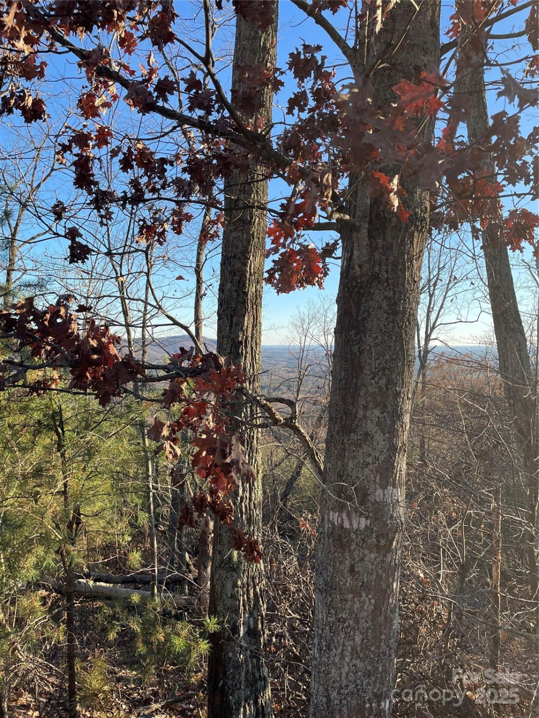 0 Brighton Drive #237