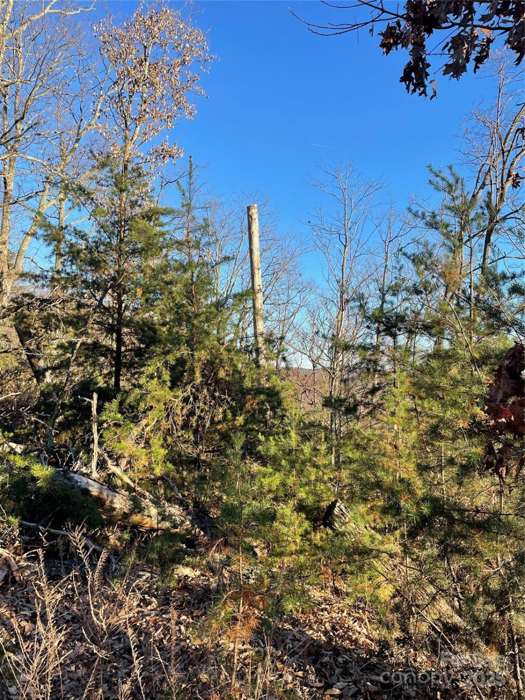 0 Brighton Drive #237 - Photo 2