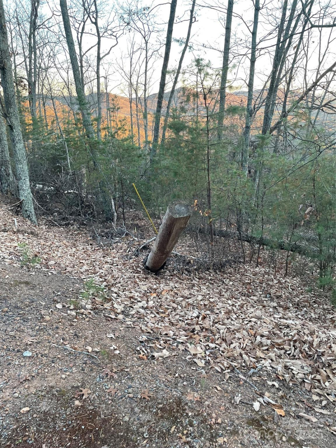 0 Brighton Drive #237 - Photo 4