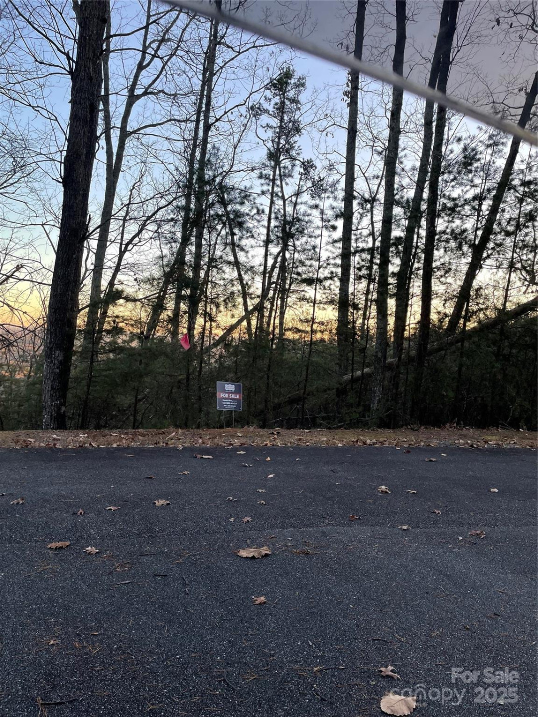 0 Brighton Drive #237 - Photo 5