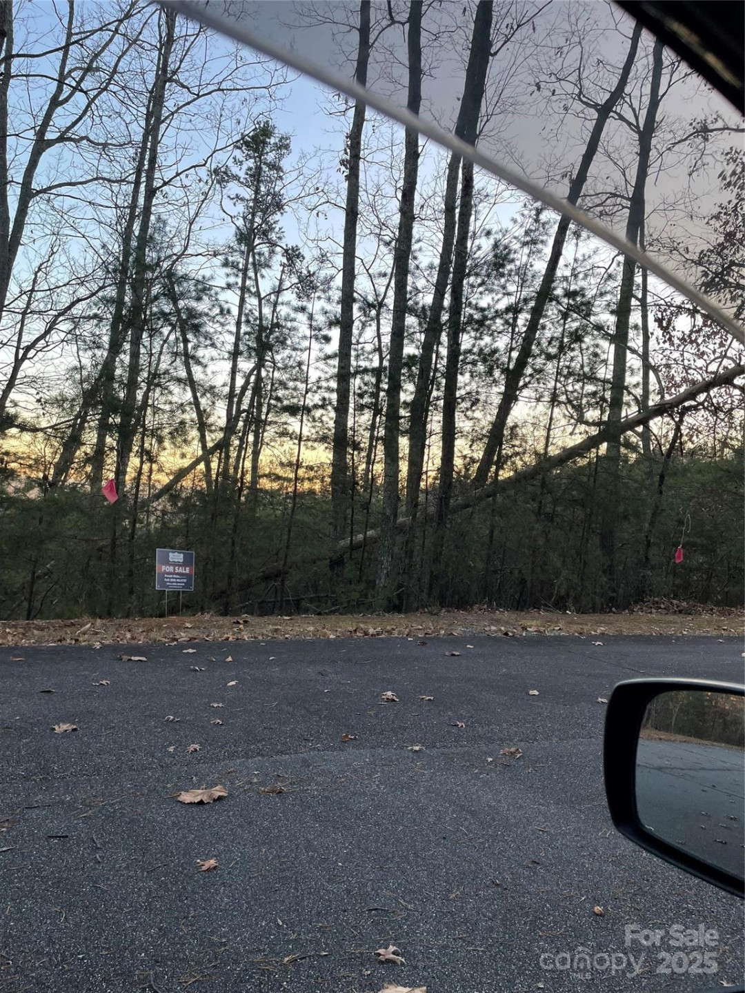 0 Brighton Drive #237 - Photo 6