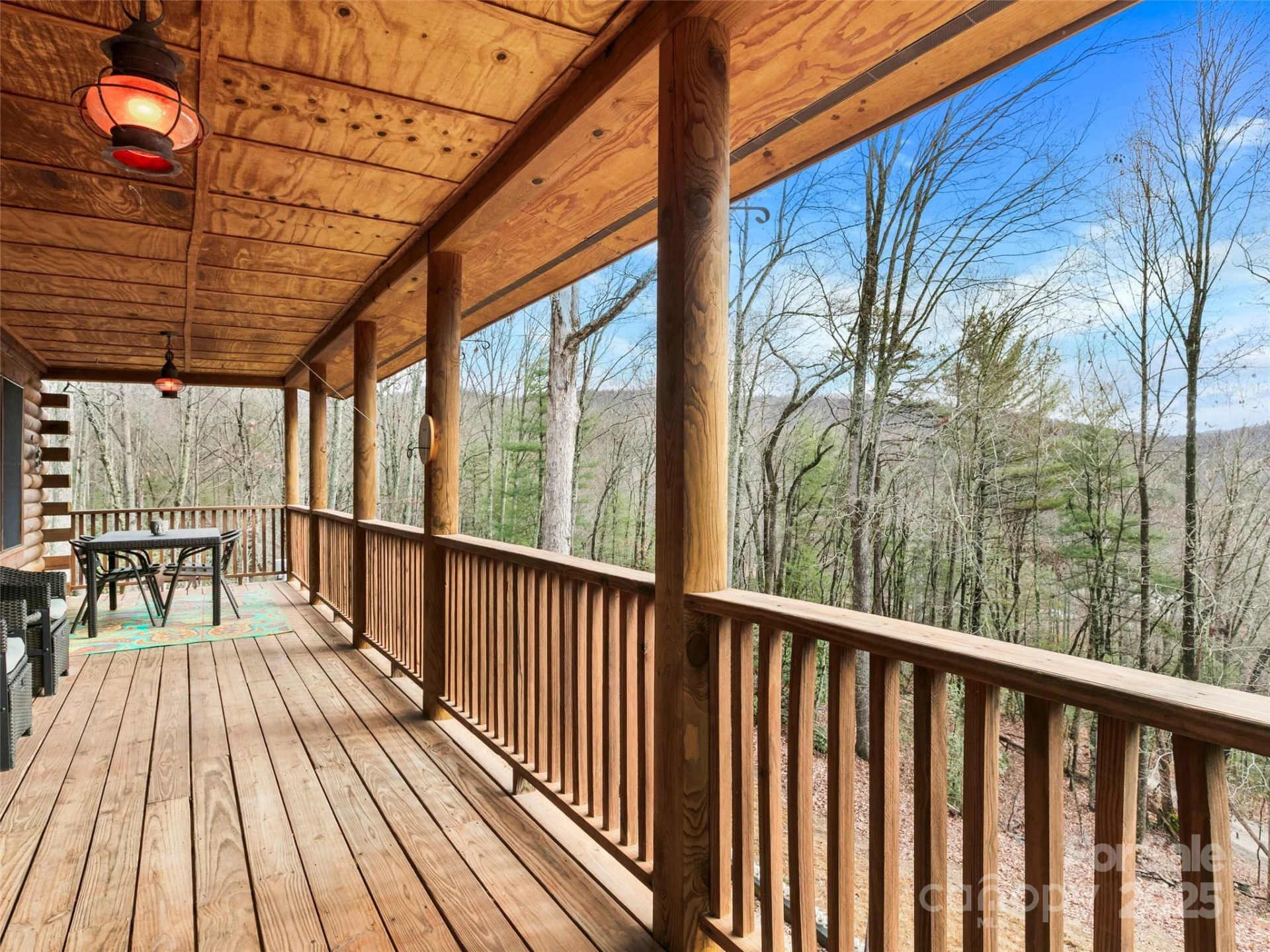 1239 Lower Loop Drive - Photo 5