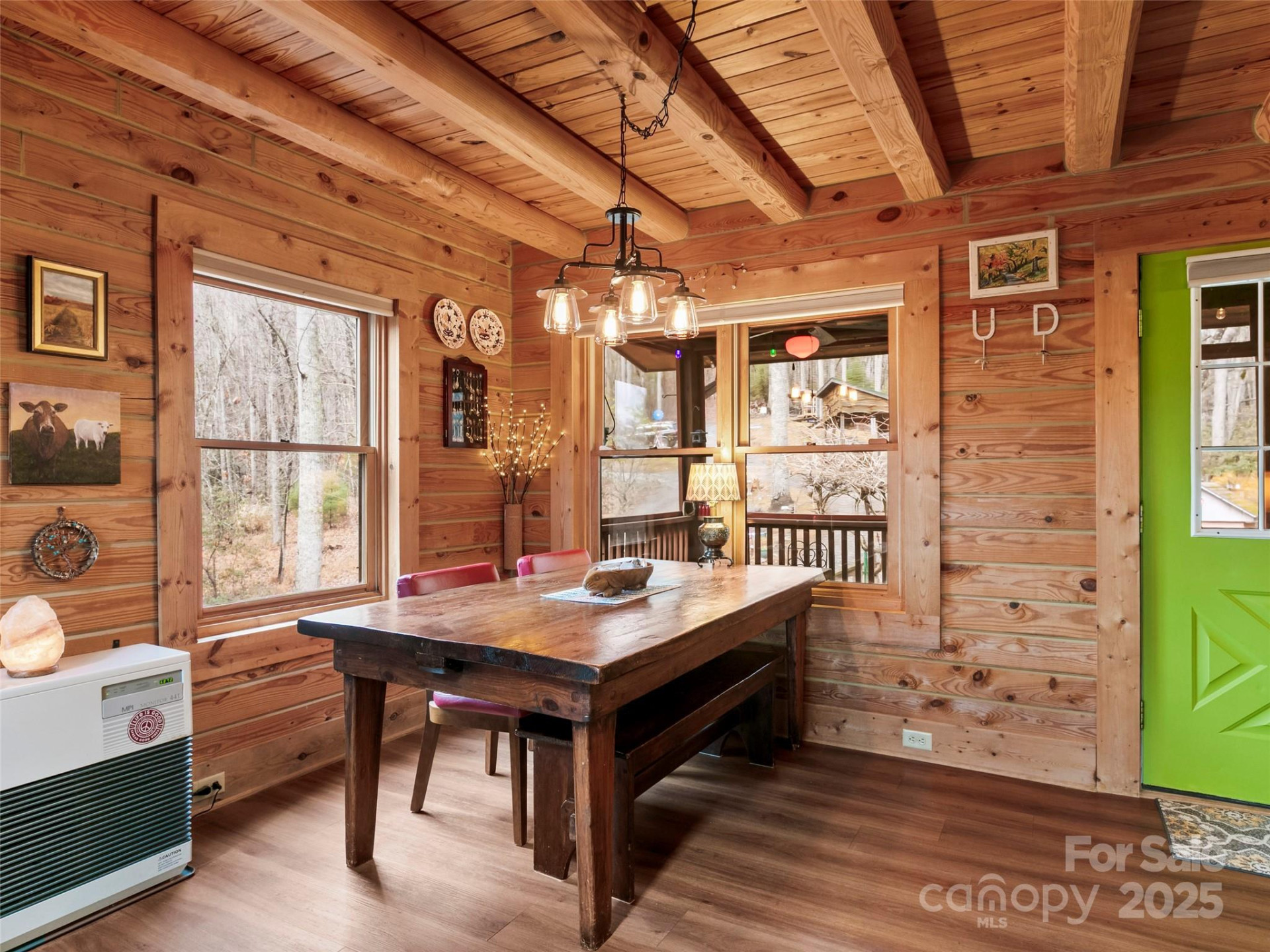 1239 Lower Loop Drive - Photo 9