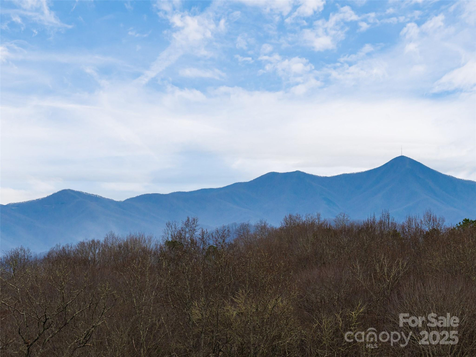 51 Bridgeway Drive #12 - Photo 15