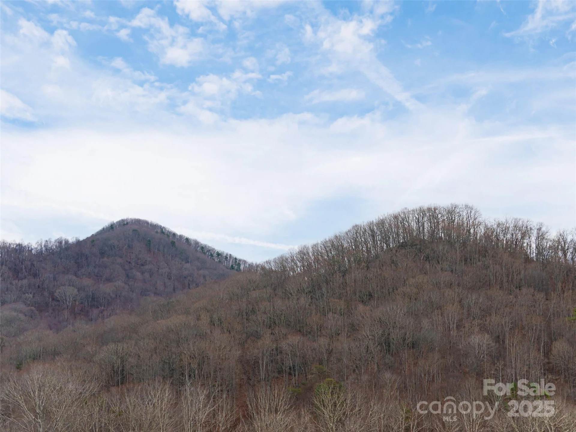 51 Bridgeway Drive #12 - Photo 36