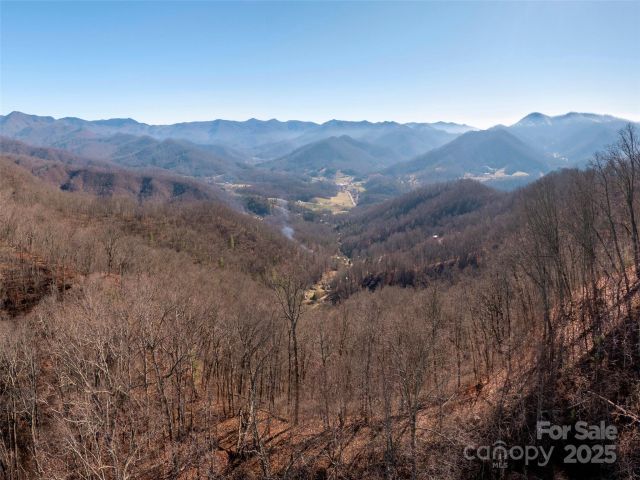 1182 Seven Glens Drive, Weaverville, NC, 28787