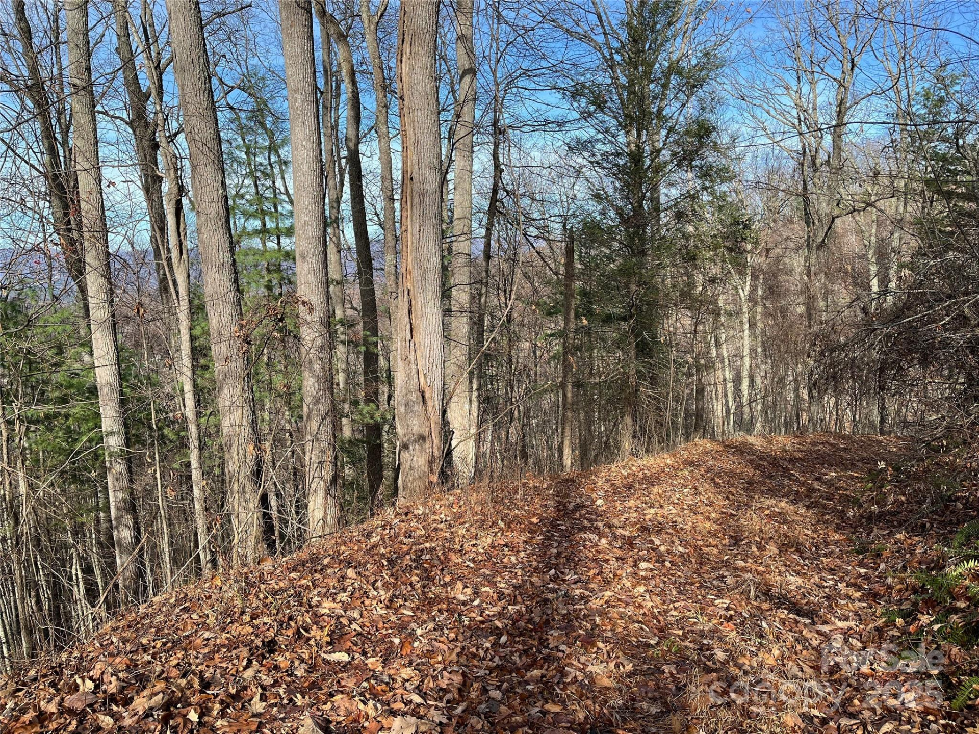 1182 Seven Glens Drive - Photo 16