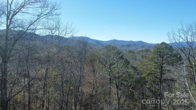 000 Hornet Drive, Whittier, NC, 28789