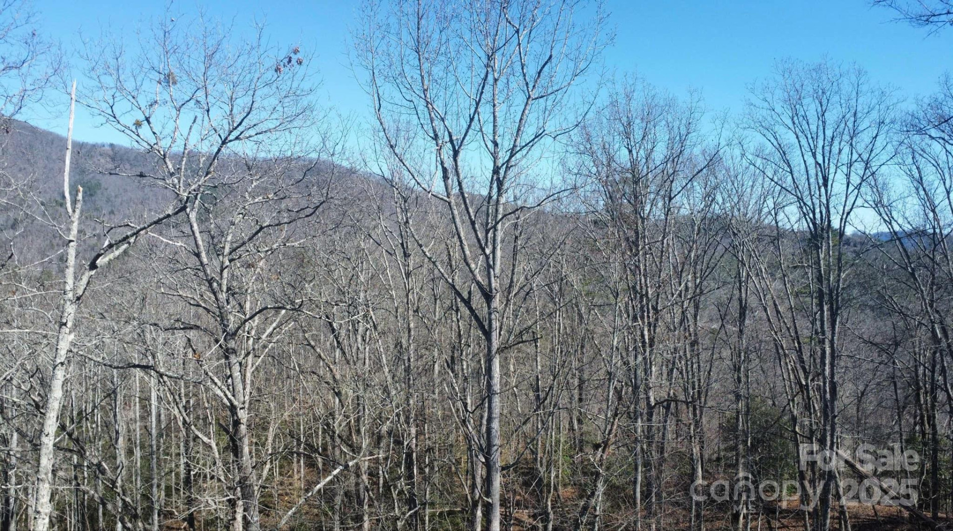 000 Hornet Drive - Photo 2