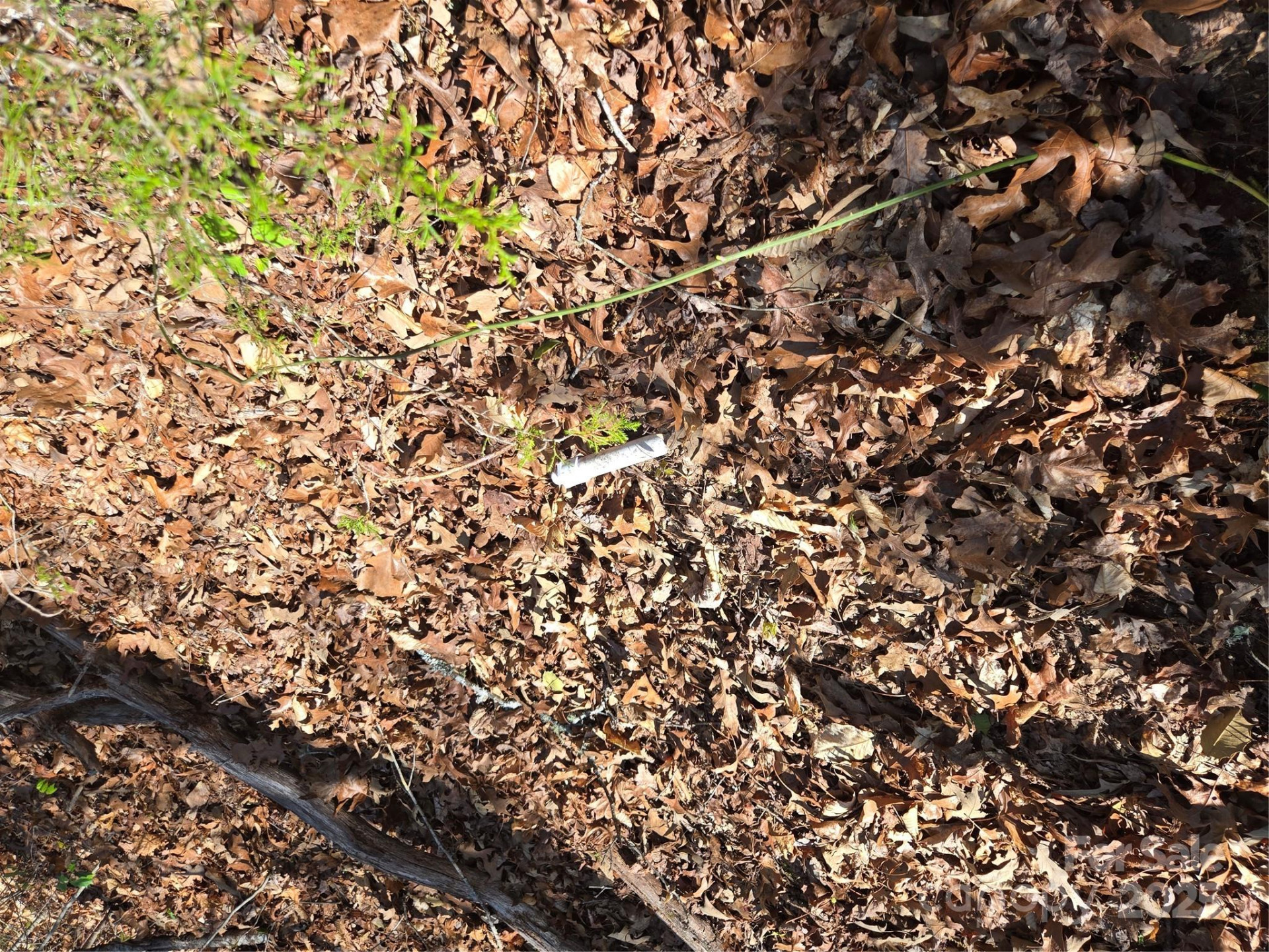 000 Hornet Drive - Photo 11