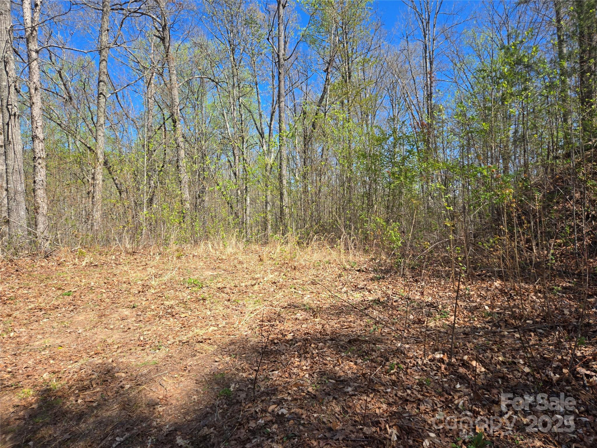 000 Hornet Drive - Photo 12